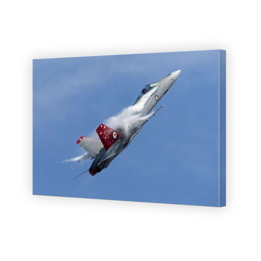 Royal Australian Air Force (RAAF) McDonnell Douglas F/A-18A Hornet multirole fighter aircraft A21-35 with a specially marked tail to commemorate the 3