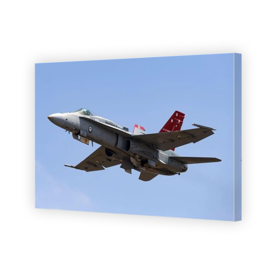 Royal Australian Air Force (RAAF) McDonnell Douglas F/A-18A Hornet multirole fighter aircraft A21-35 with a specially marked tail to commemorate the 3