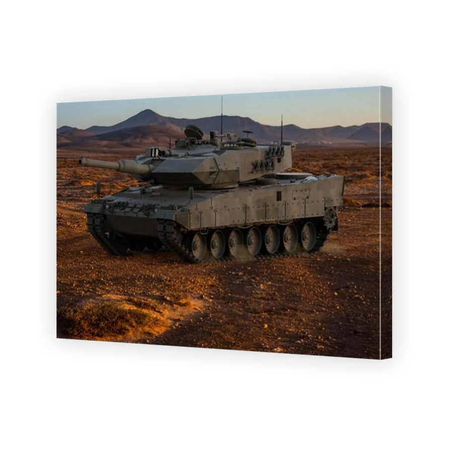 tank at the military training