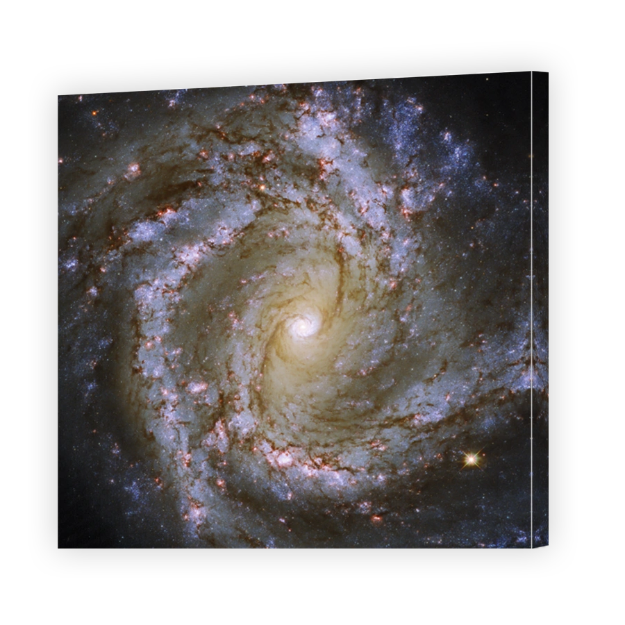 Spiral Snapshot