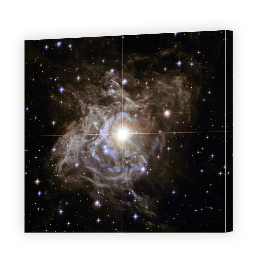 Hubble image of variable star RS Puppis