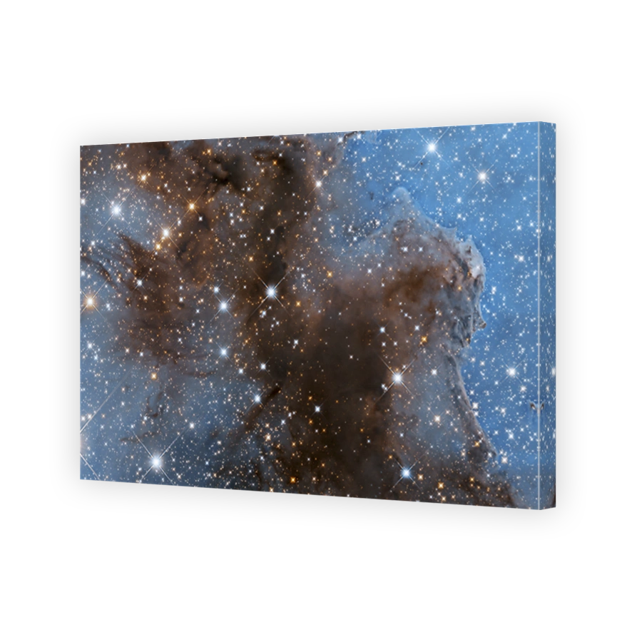 Stunning Nebula and Starry Expanse