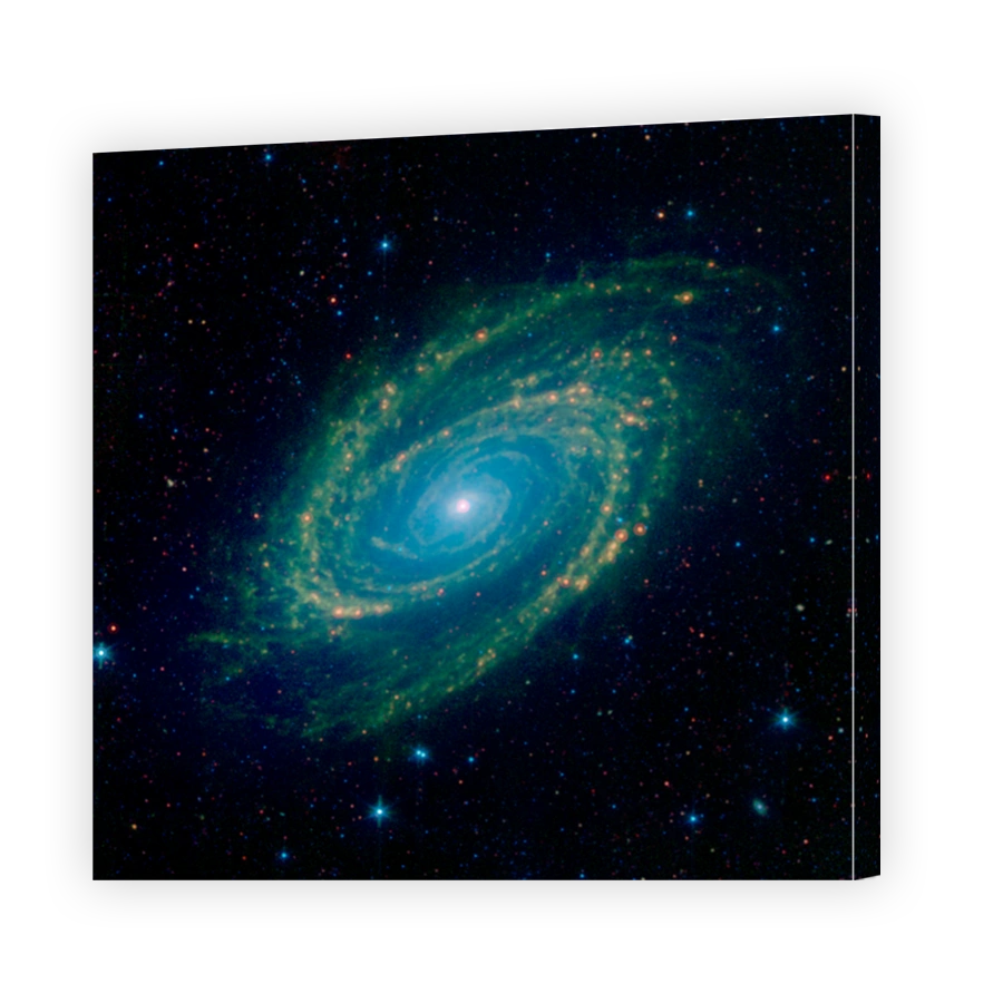 Full Infrared View of the M81 Galaxy