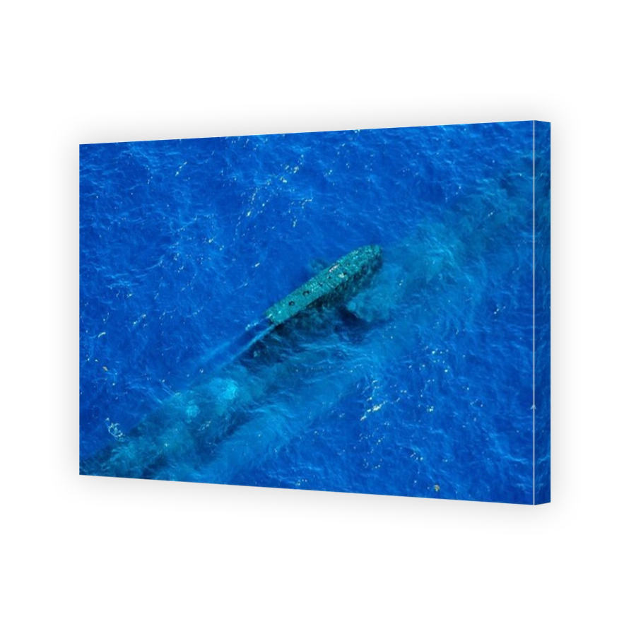 An Australian Navy Collins Class submarine is just visible beneath the sea prior to surfacing