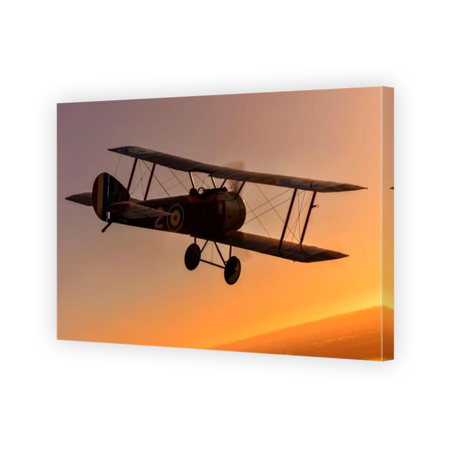 A restored First World War Sopwith Pup biplane fighter. This is based at Serpentine airfield in Western Australia.