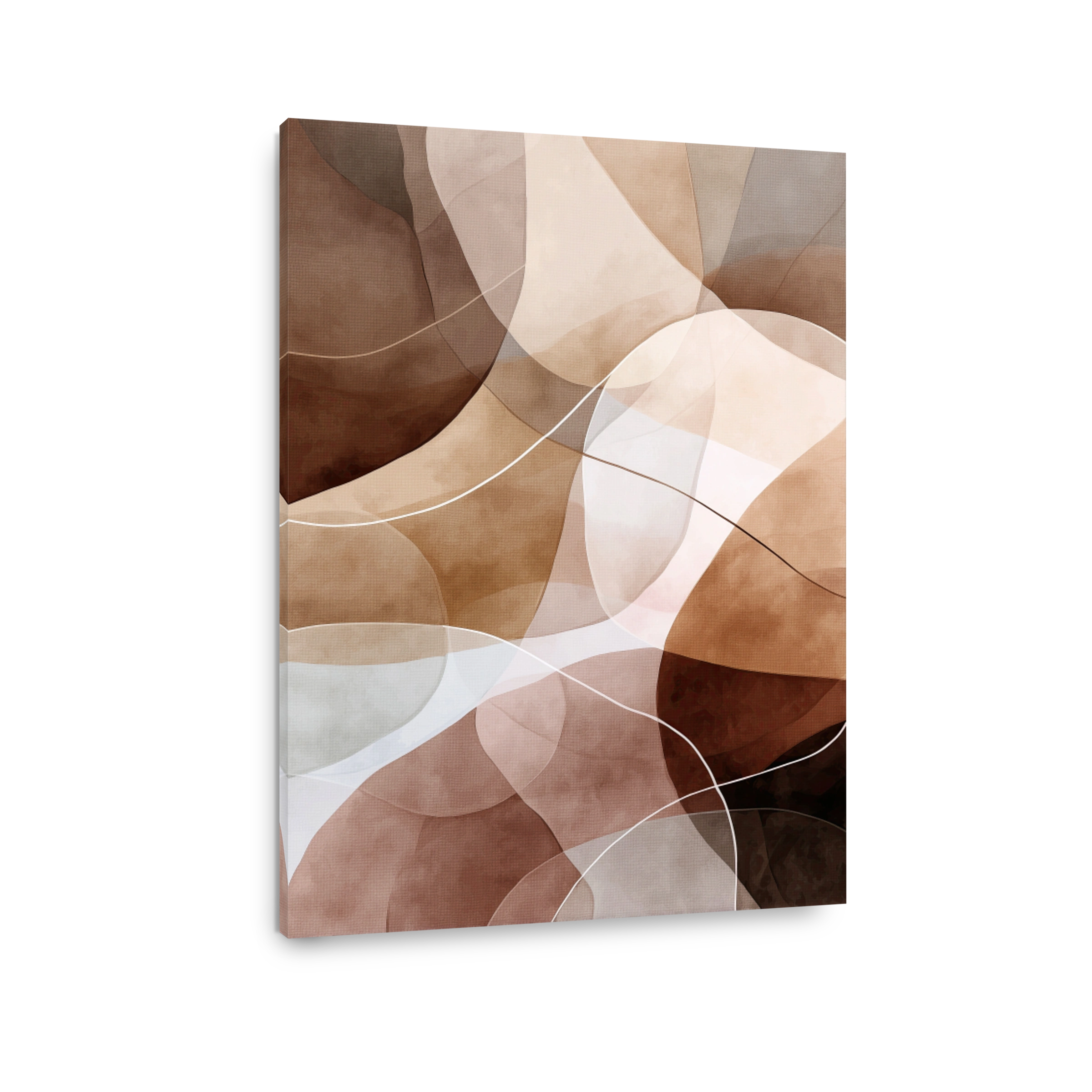 Abstract Shapes Canvas Print