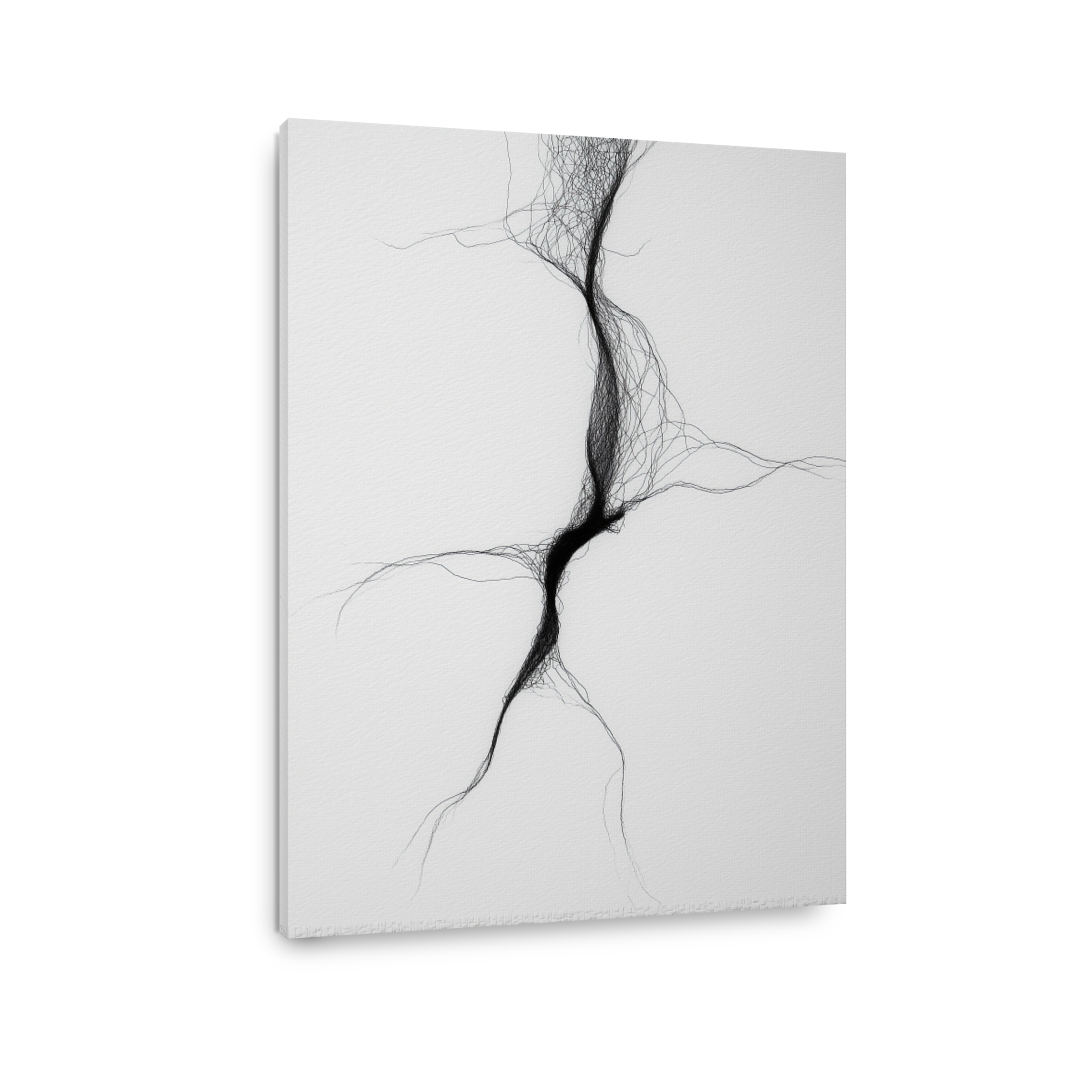 Abstract Black Line Art on White Canvas