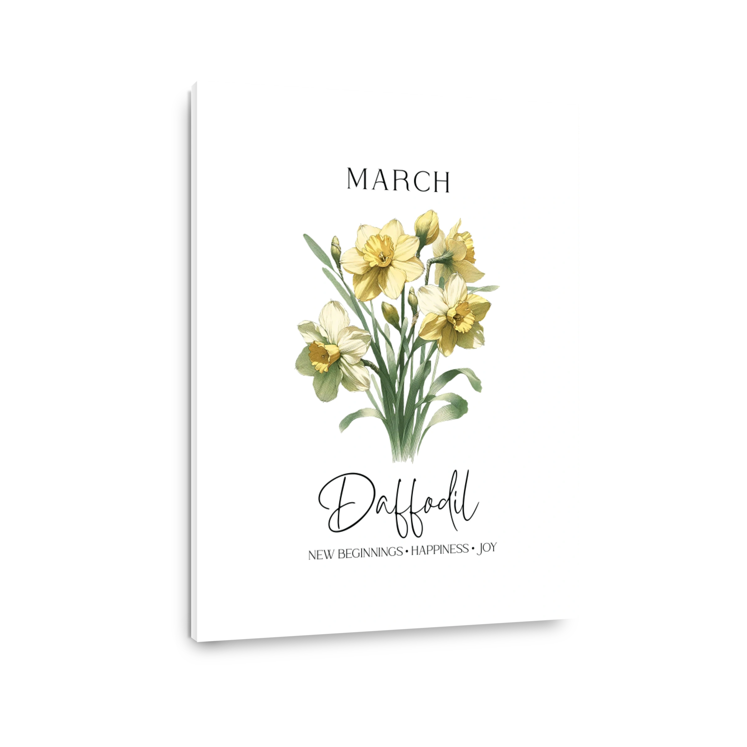 Daffodil Flowers for March