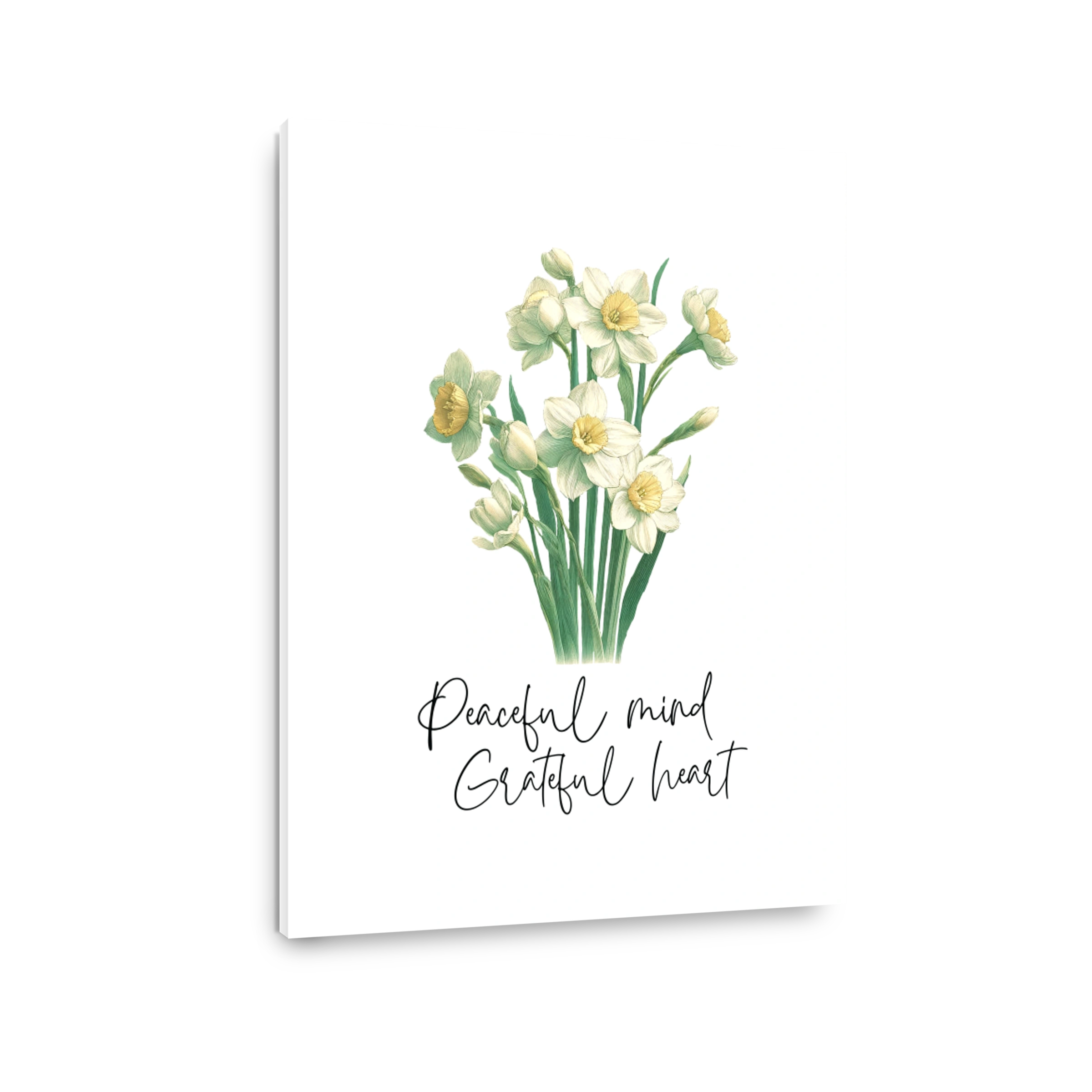 Peaceful Daffodils with Grateful Heart