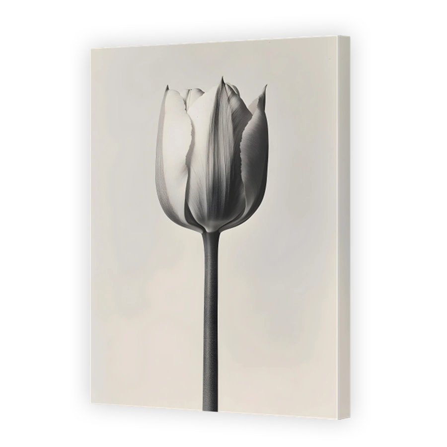 Elegant Tulip in Monochrome