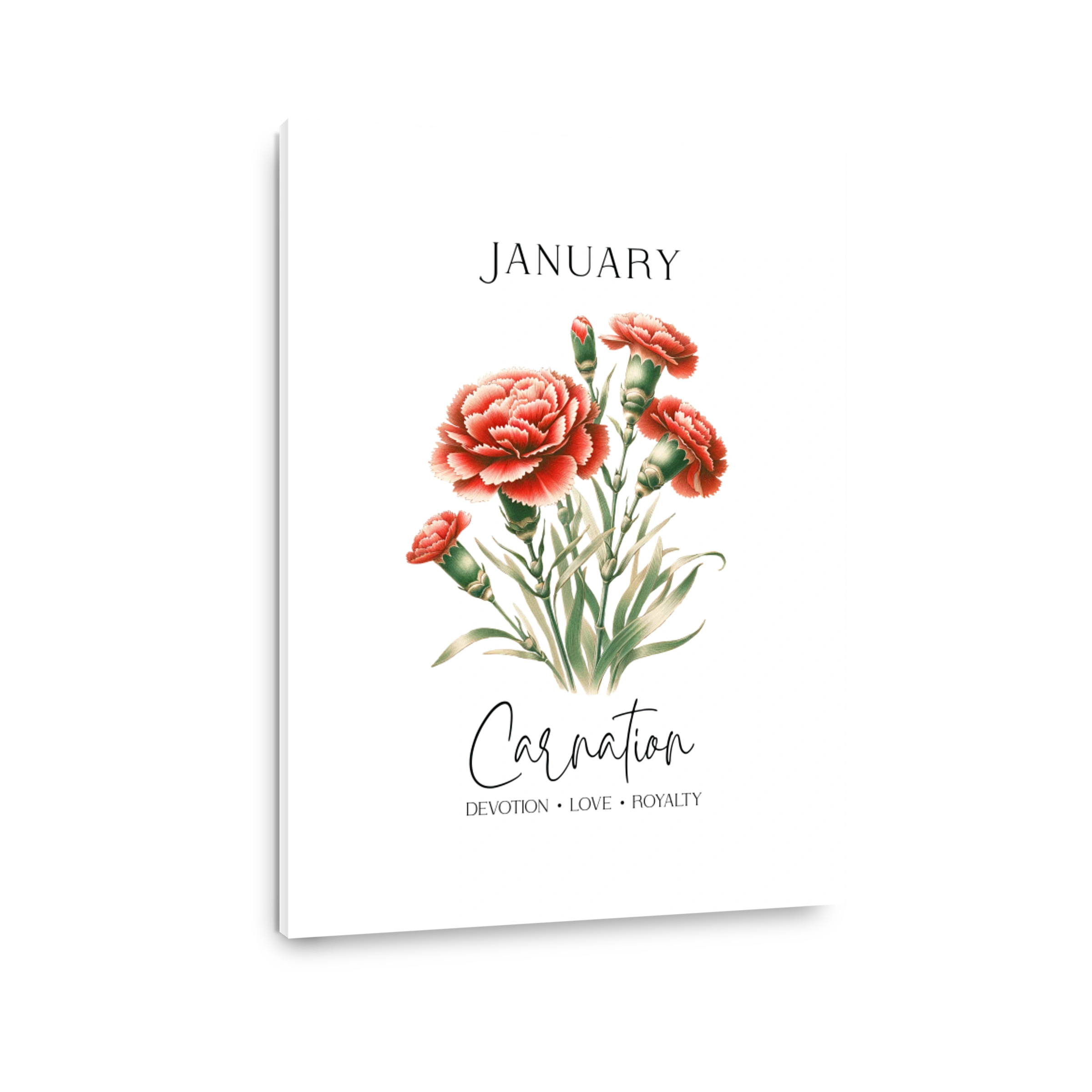 Elegant Carnation Floral Art