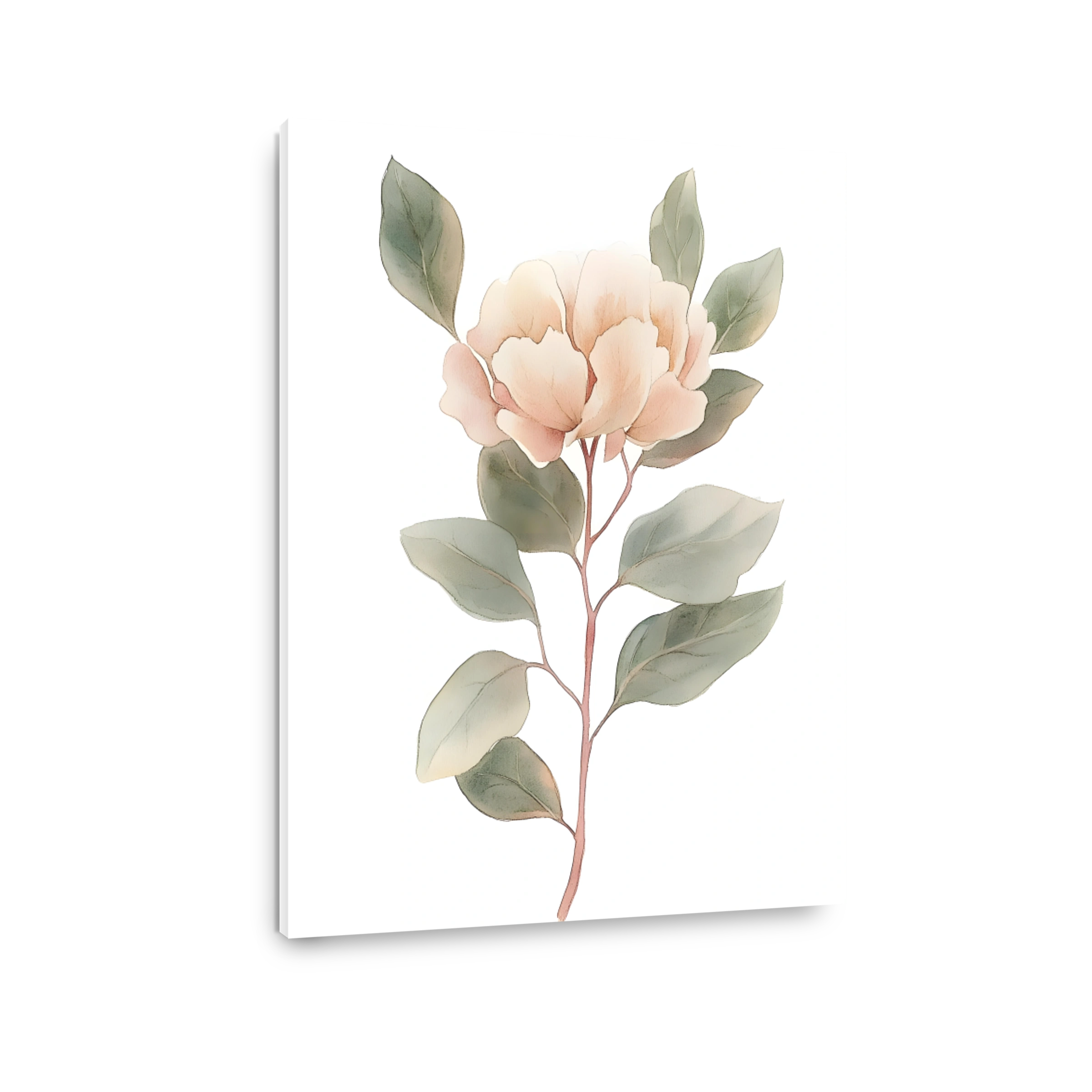 Delicate Peach Peony Watercolour Art