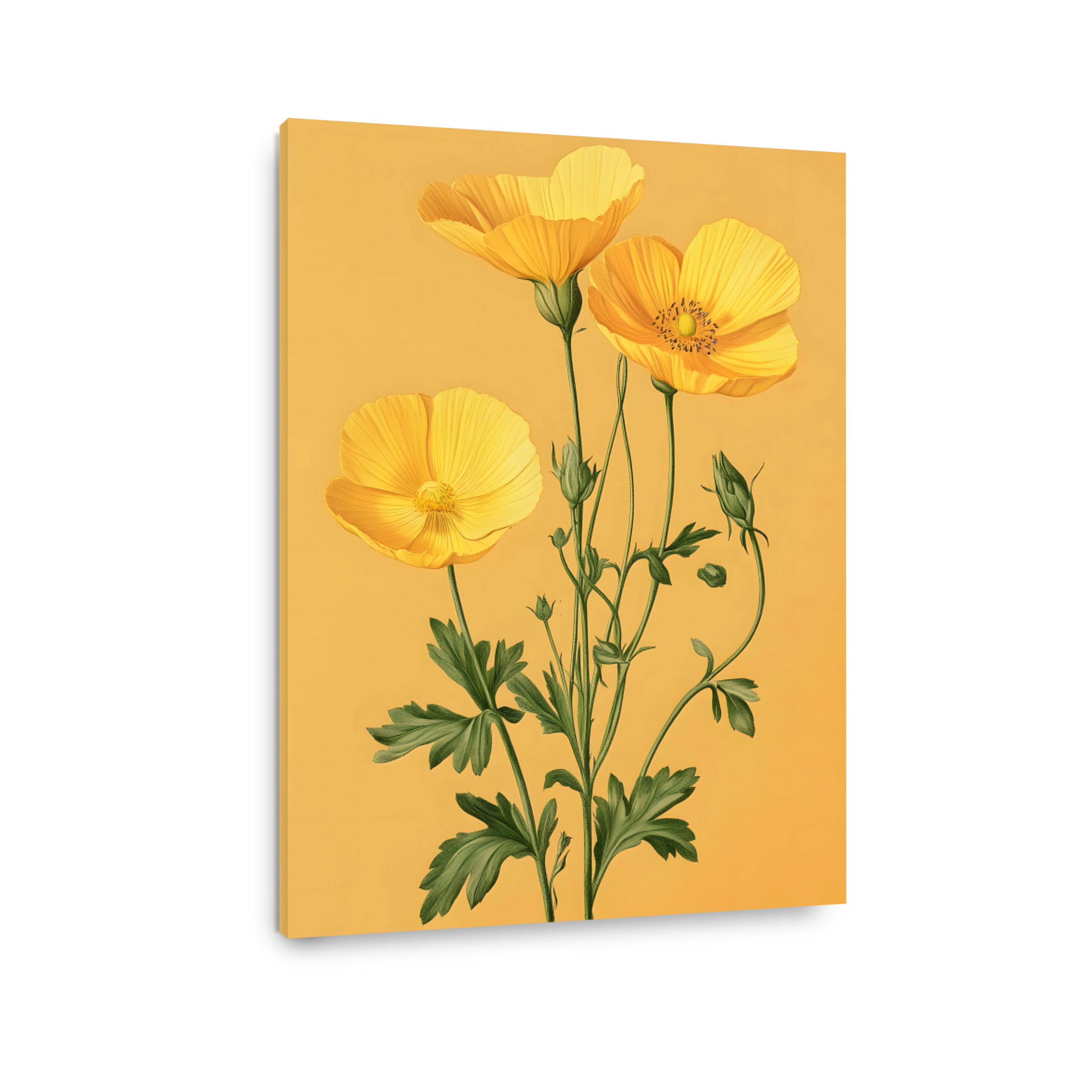 Vibrant Yellow Poppies Botanical Art
