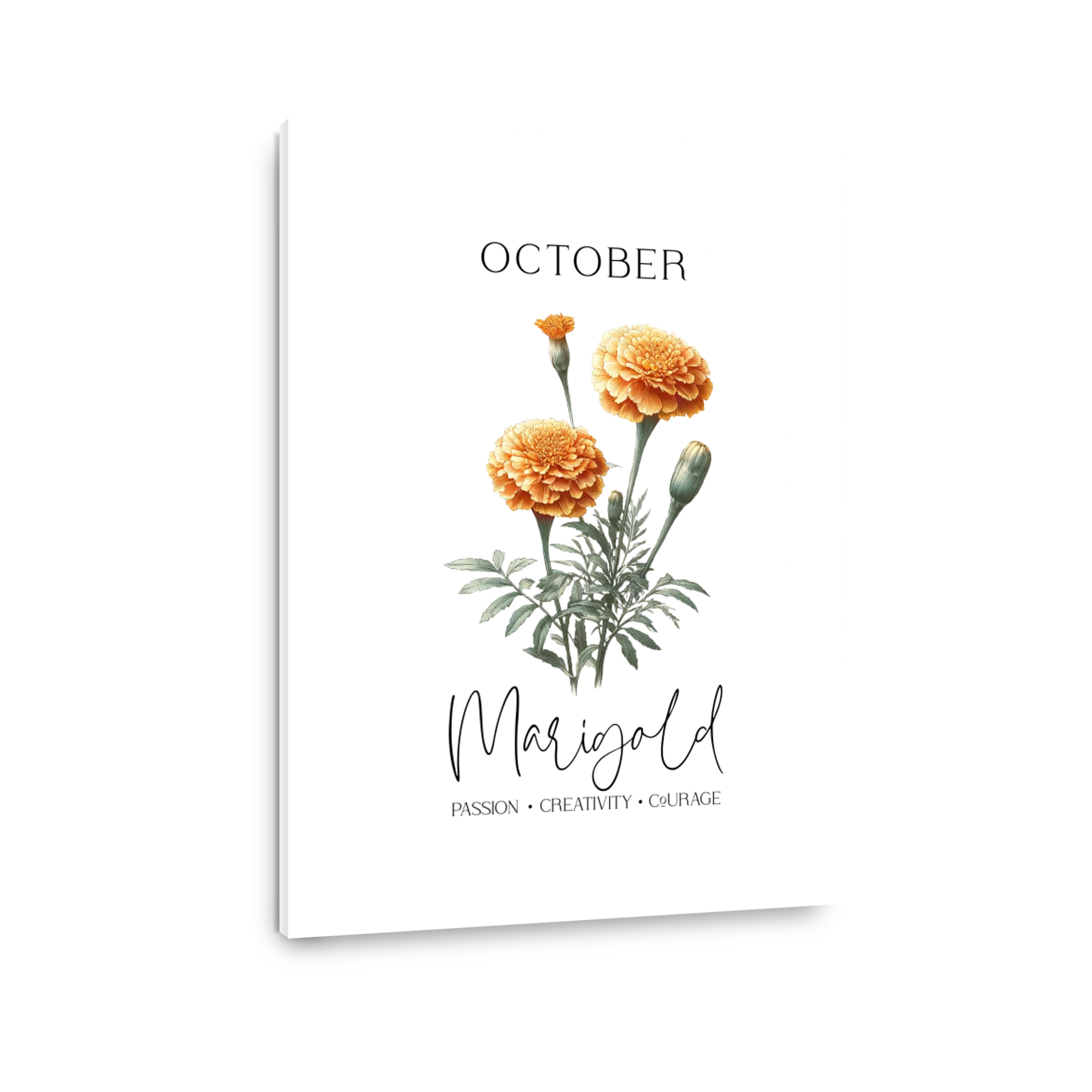 October Marigold Flowers