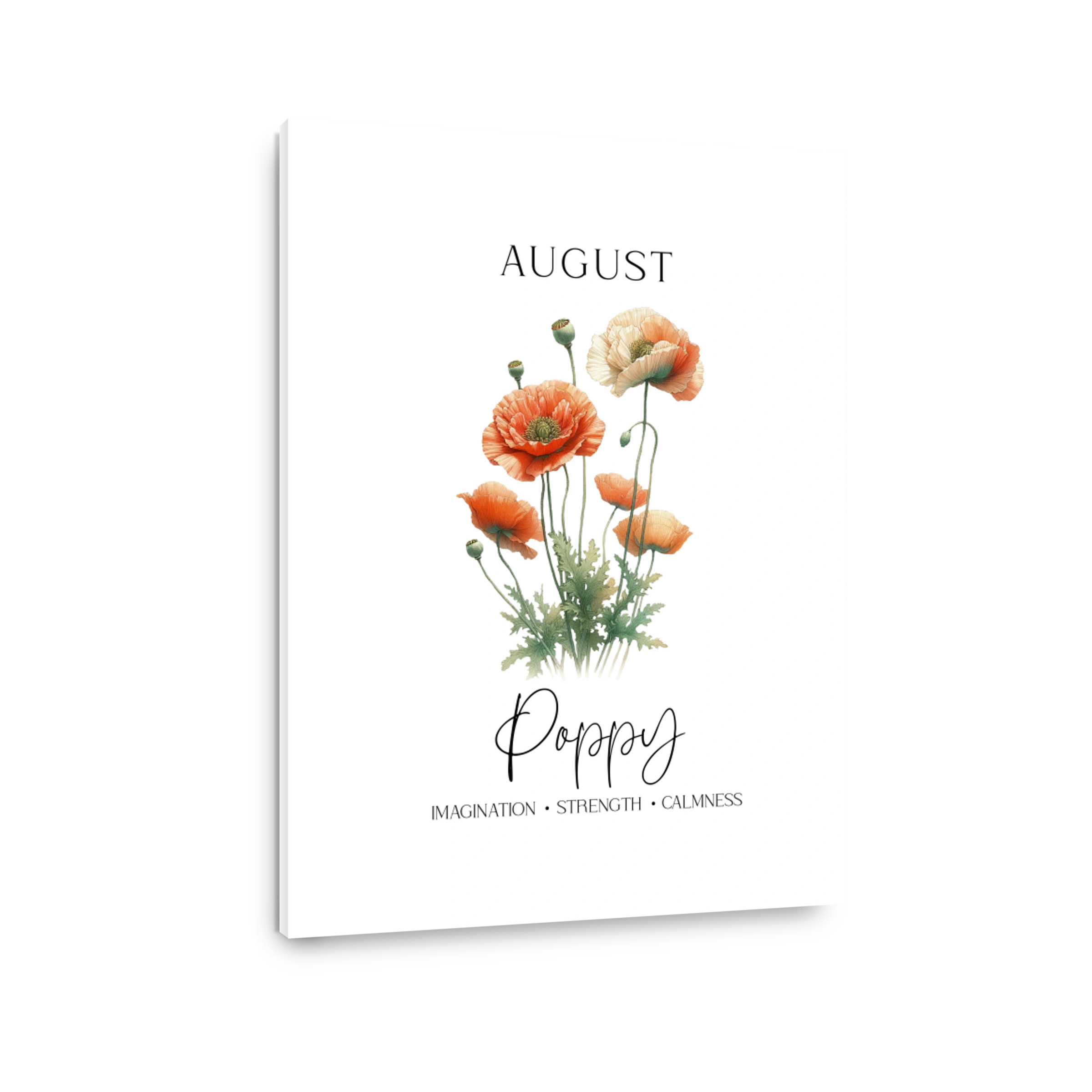 August Poppy Flowers