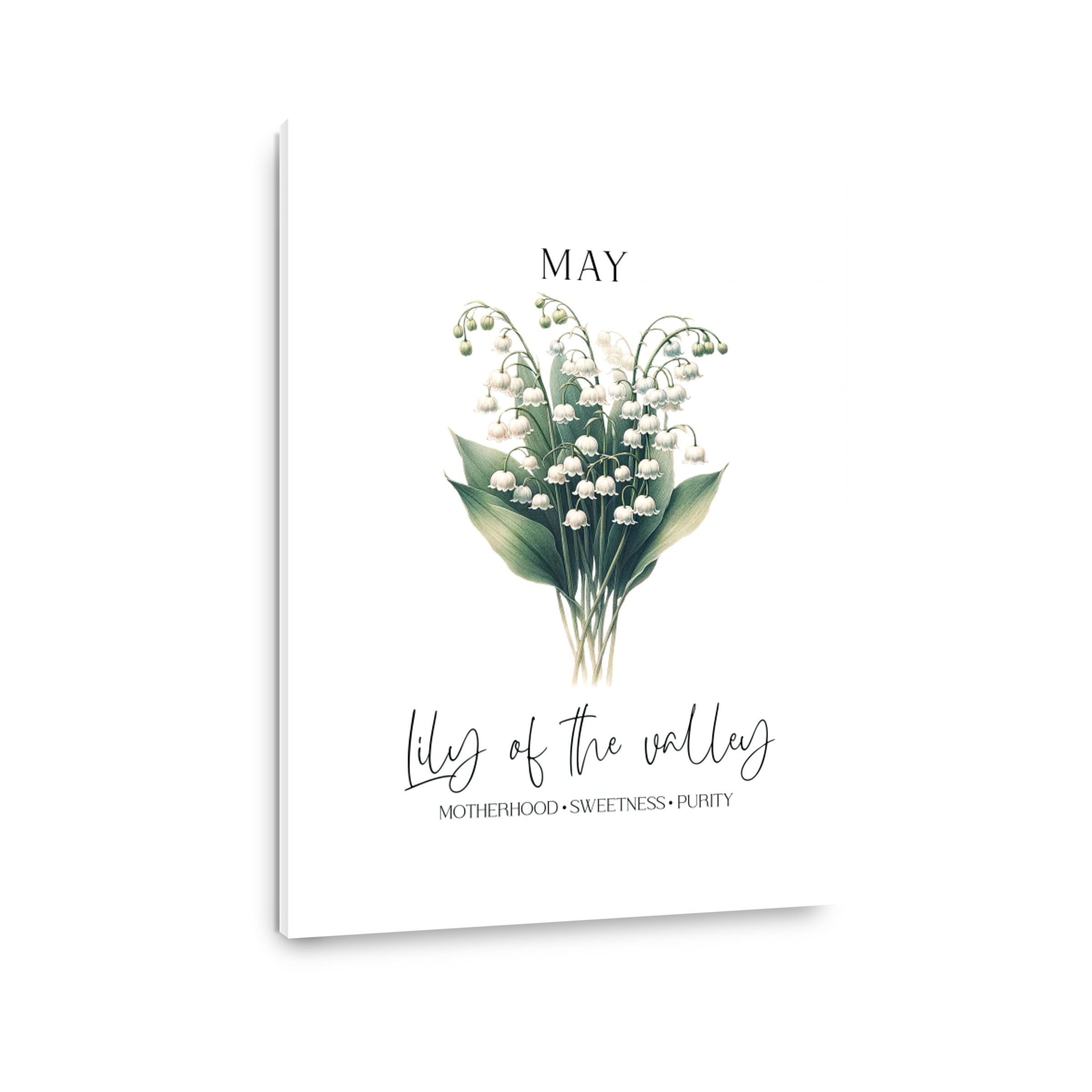 Lily of the Valley May Flowers