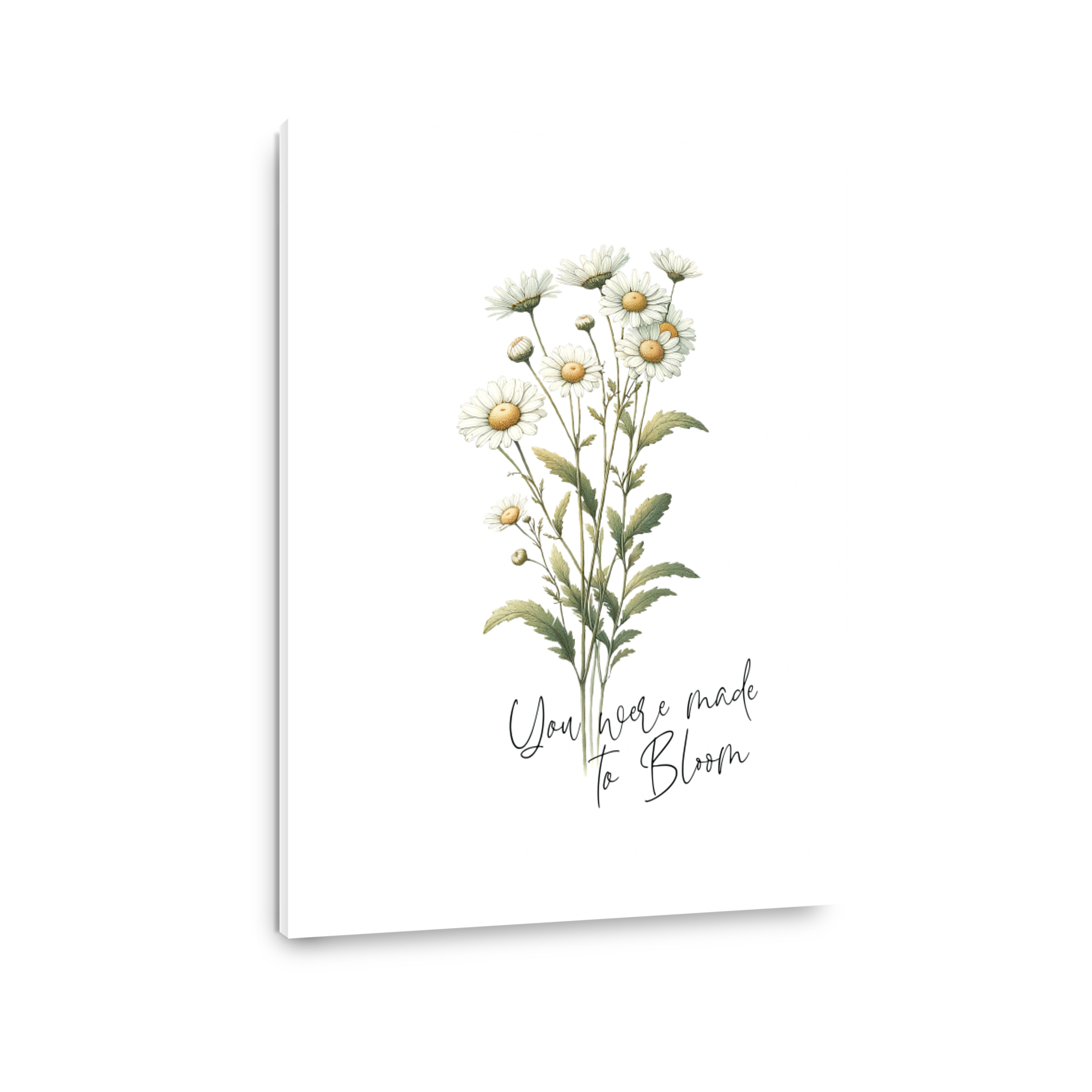 Daisies You Were Made To Bloom