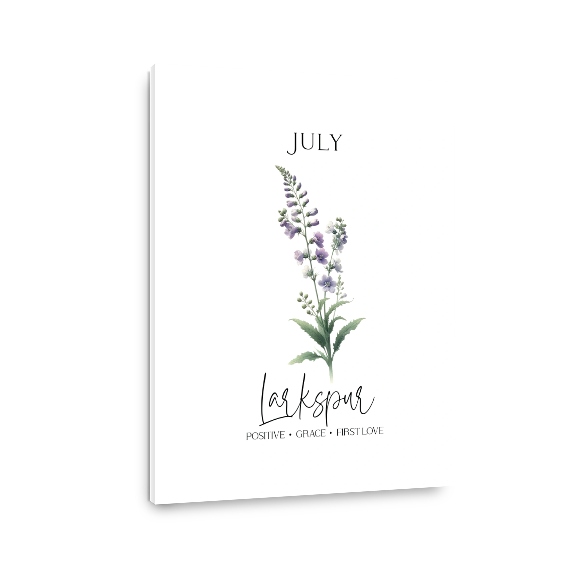 Larkspur Flower Botanical Art