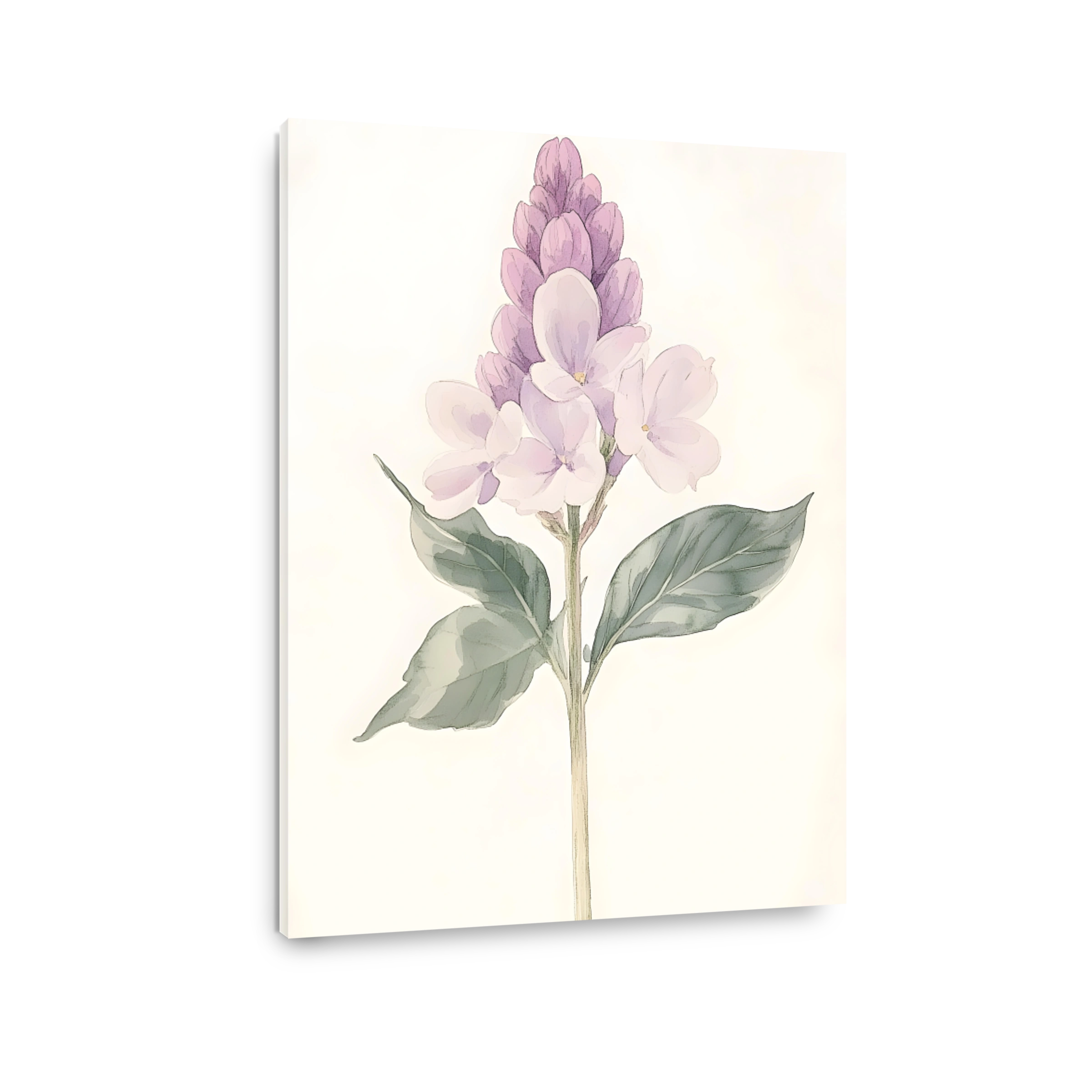 Delicate Lilac Flower Watercolour Art