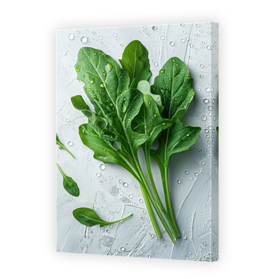 Close Up Of Arugula Lying On A Background With Water Drops