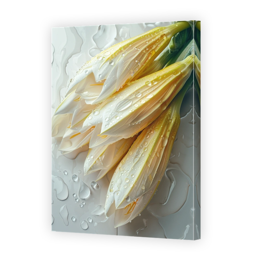 Close Up Of Endive Lying On A Background With Water Drops 3