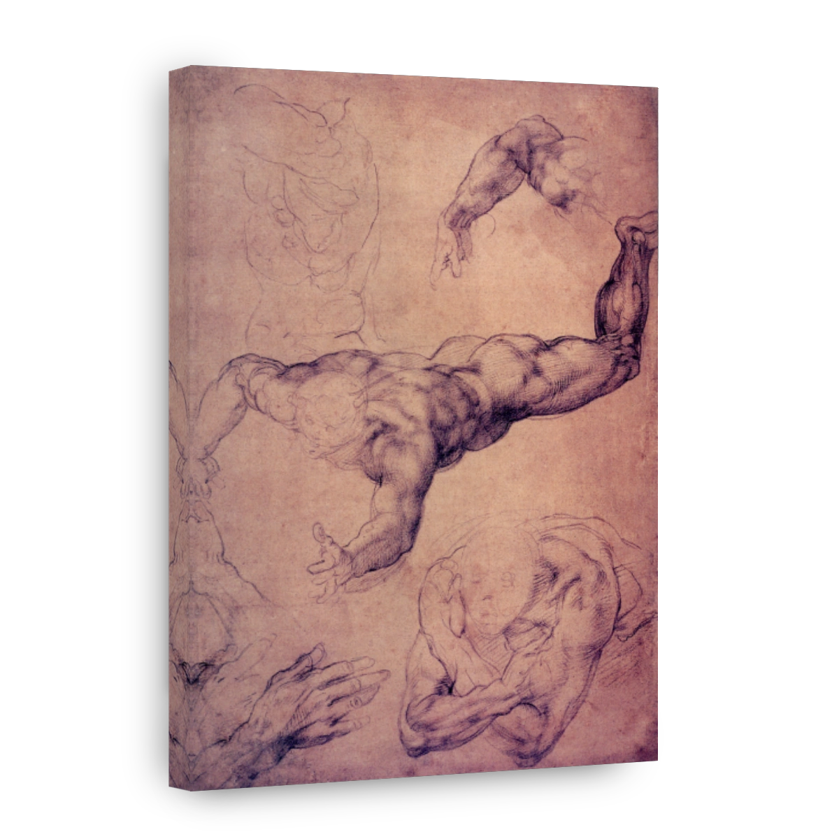 Michelangelo (1475 1564)   Studies For A Flying Angel For The Last Judgement 1536 41
