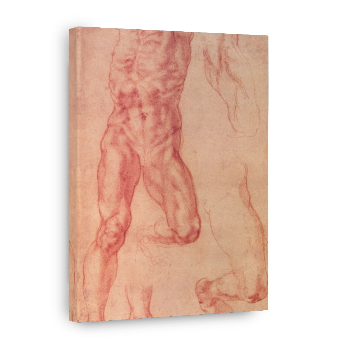 Michelangelo (1475 1564)   Study For Haman 1508 12