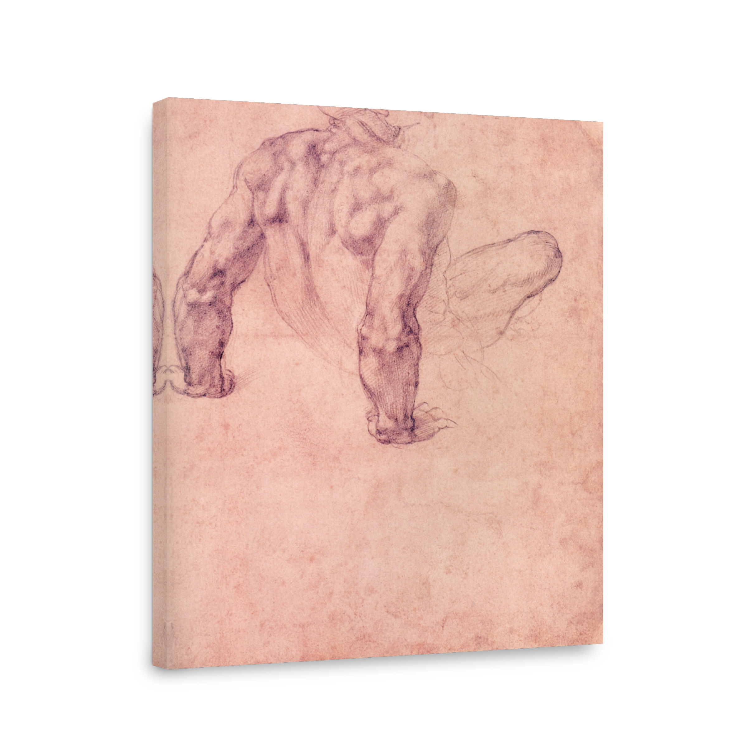 Michelangelo (1475 1564)   Study Of A Male Nude Leaning