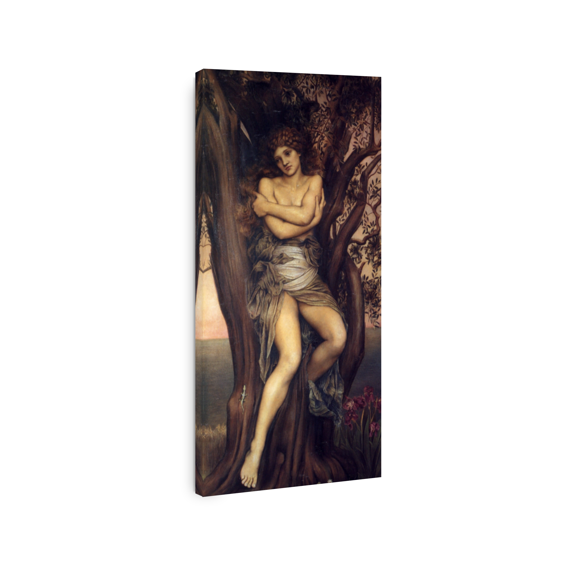 Morgan, Evelyn De (1855 1919)   Dryad 1885
