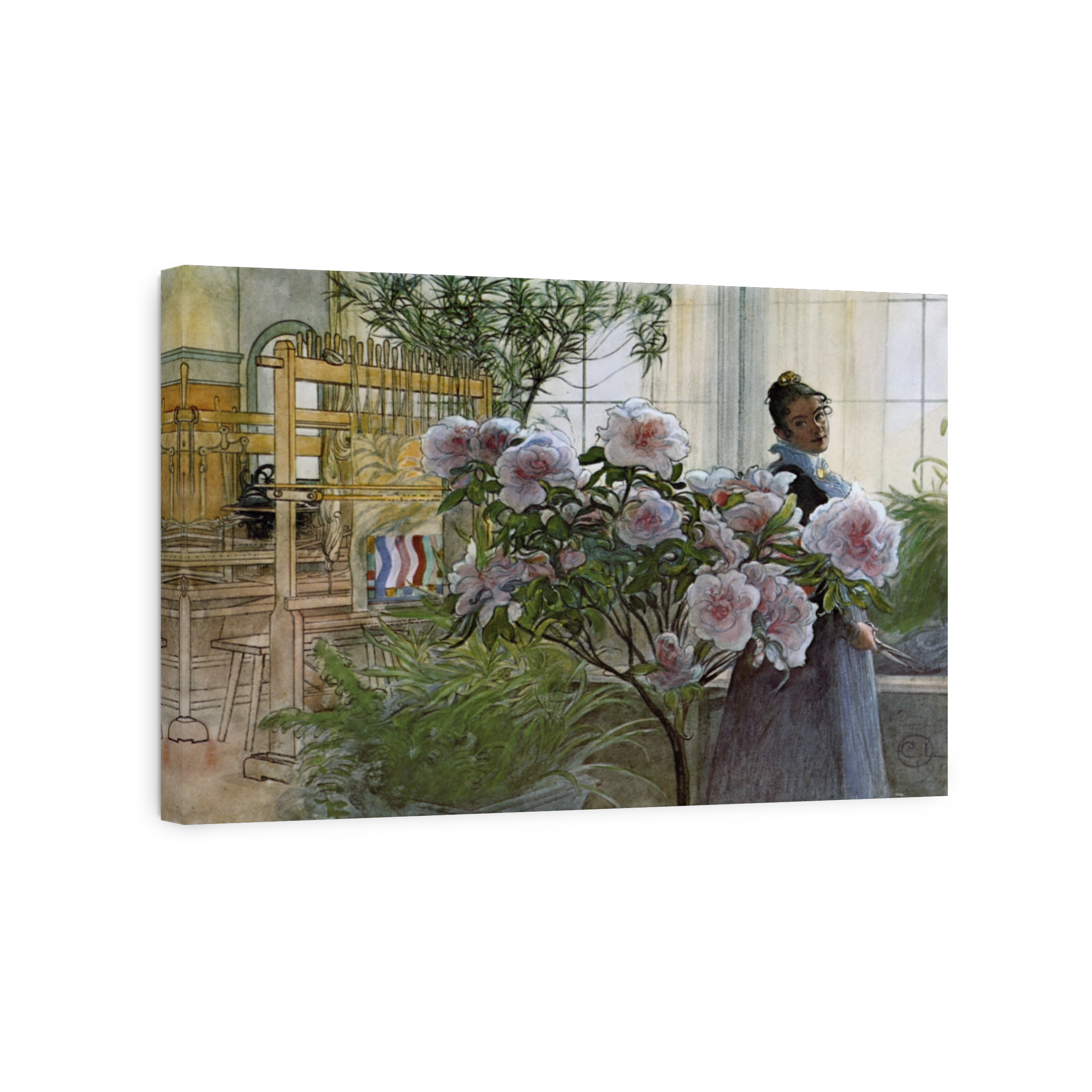 Larsson, Carl (1853 1919)   Azalea 1906