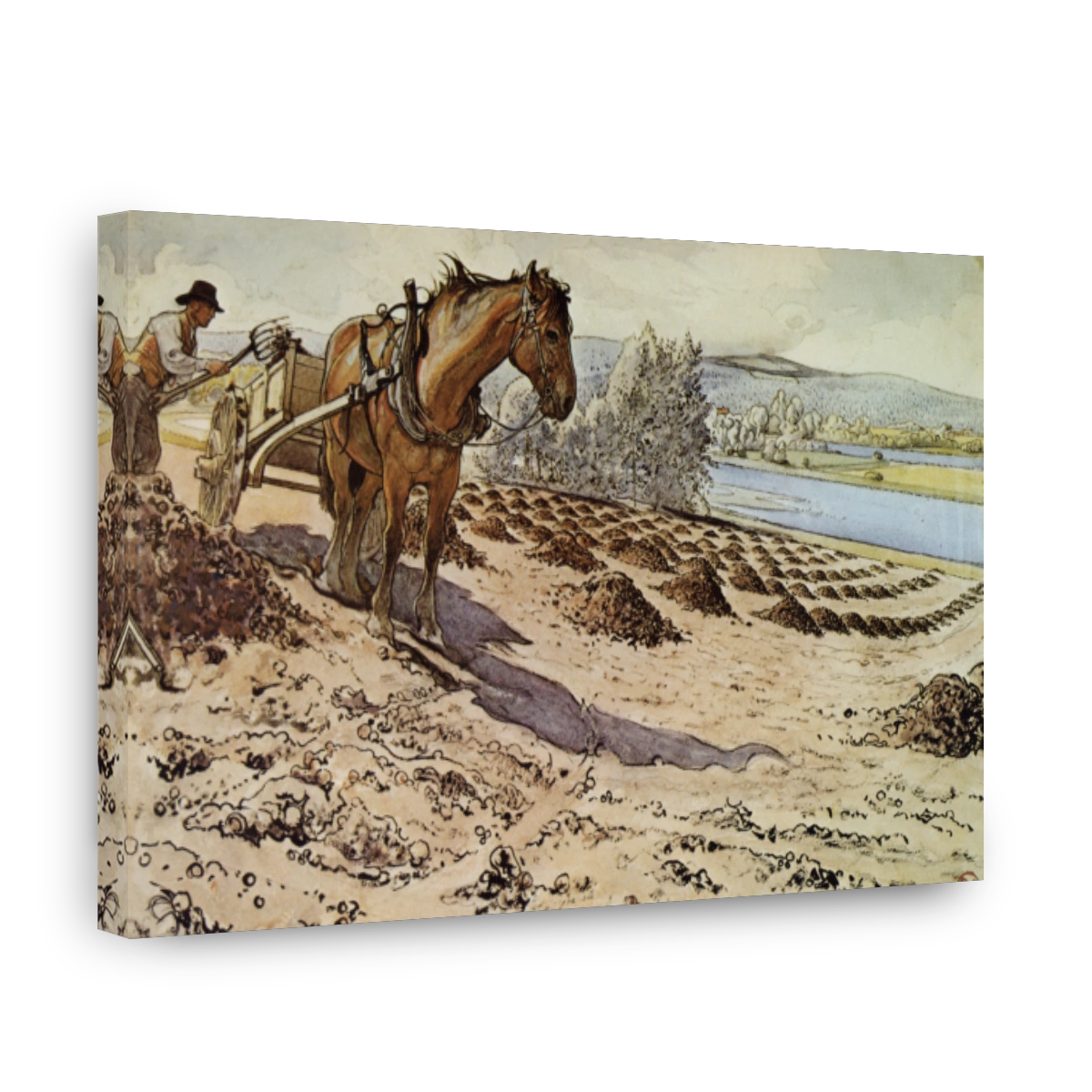 Larsson, Carl (1853 1919)   Muck Raking 1905