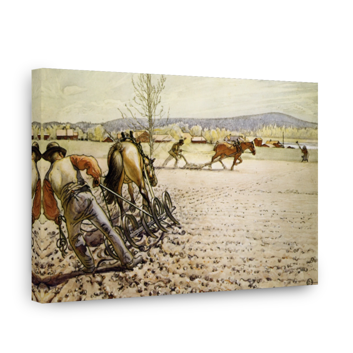 Larsson, Carl (1853 1919)   Ploughing 1905