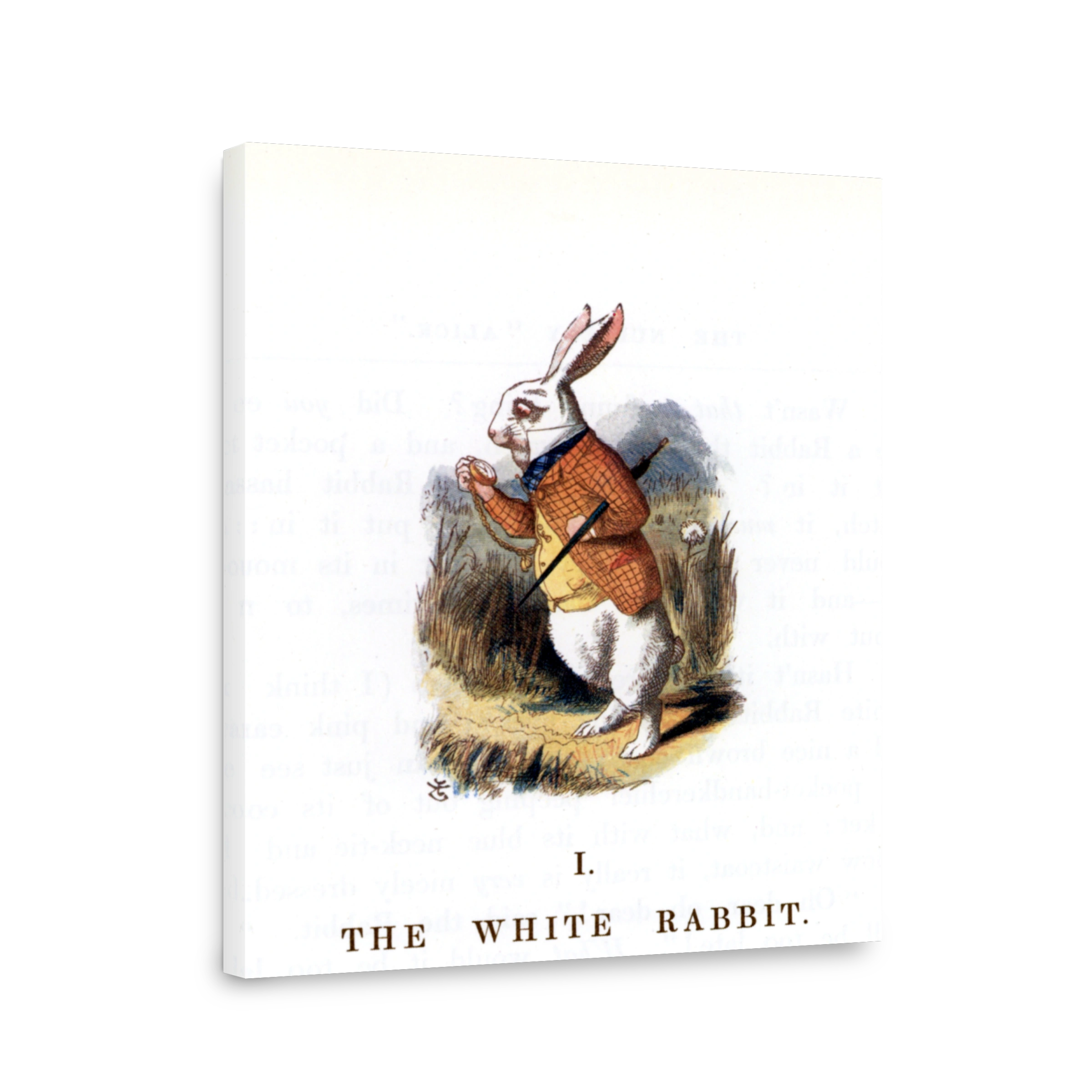 Tenniel, John (1820 1914)   The Nursery Alice 1890   The White Rabbit