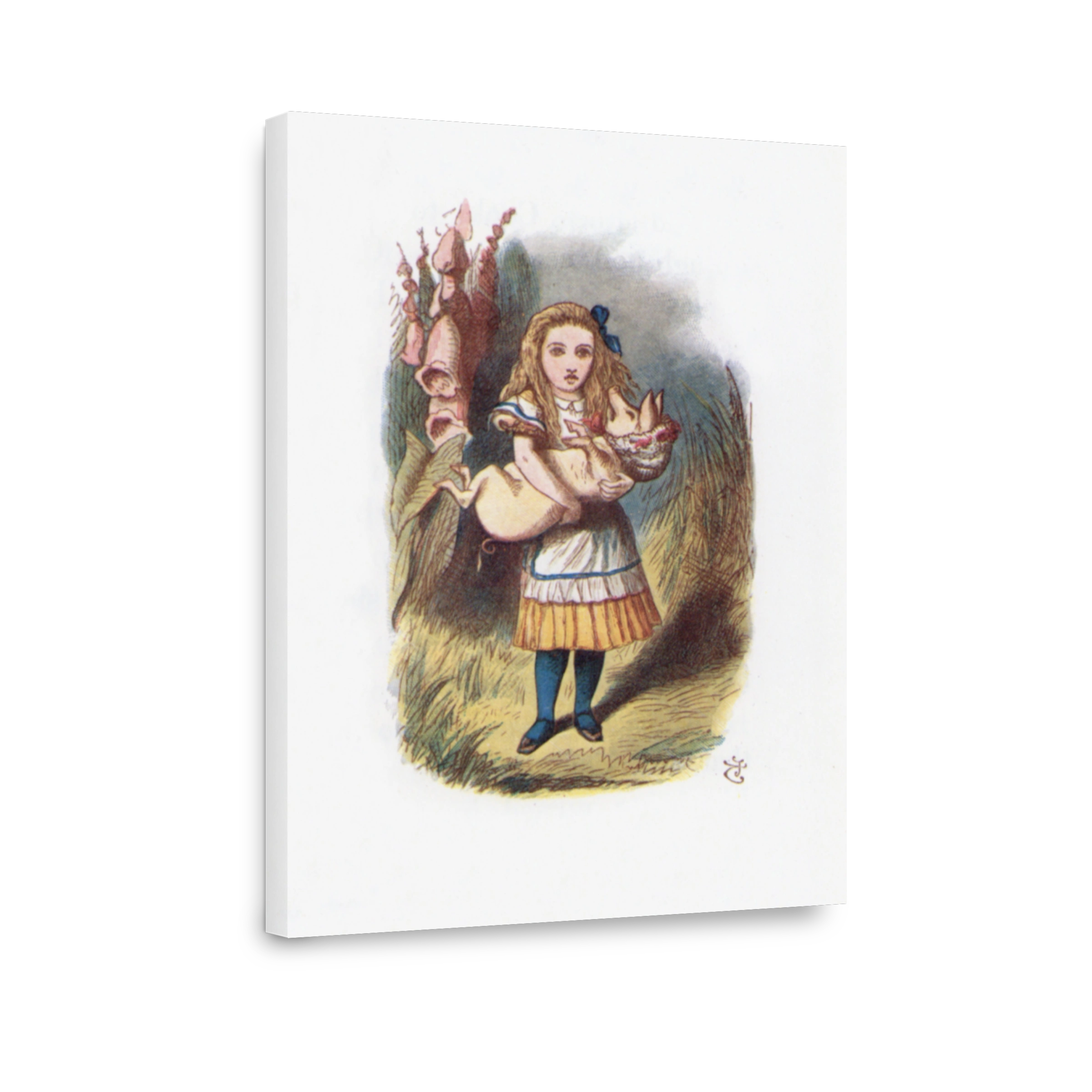 Tenniel, John (1820 1914)   The Nursery Alice 1890   The Pig Baby