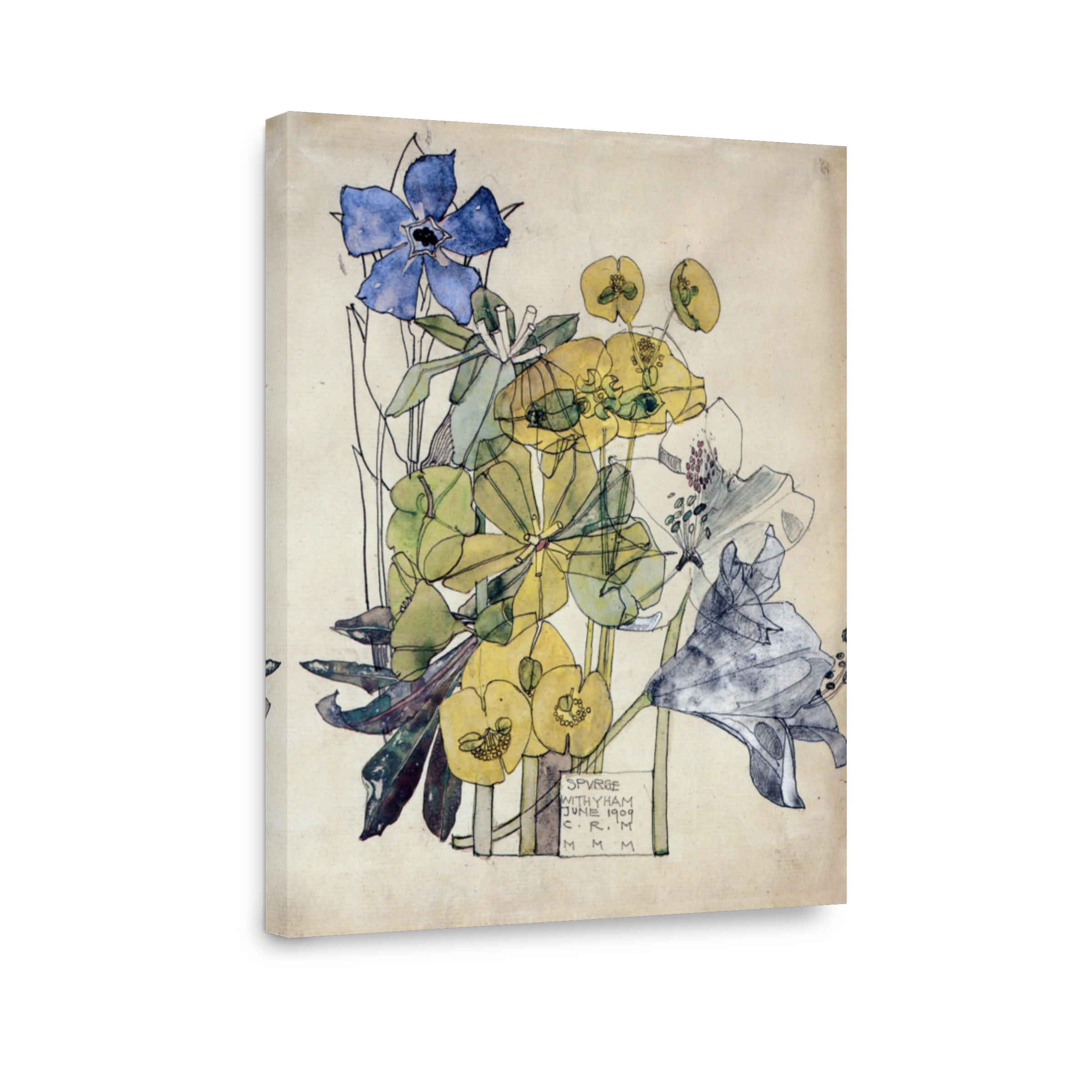 Mackintosh, Charles R (1868 1928)   Spurge, Withyham 1909
