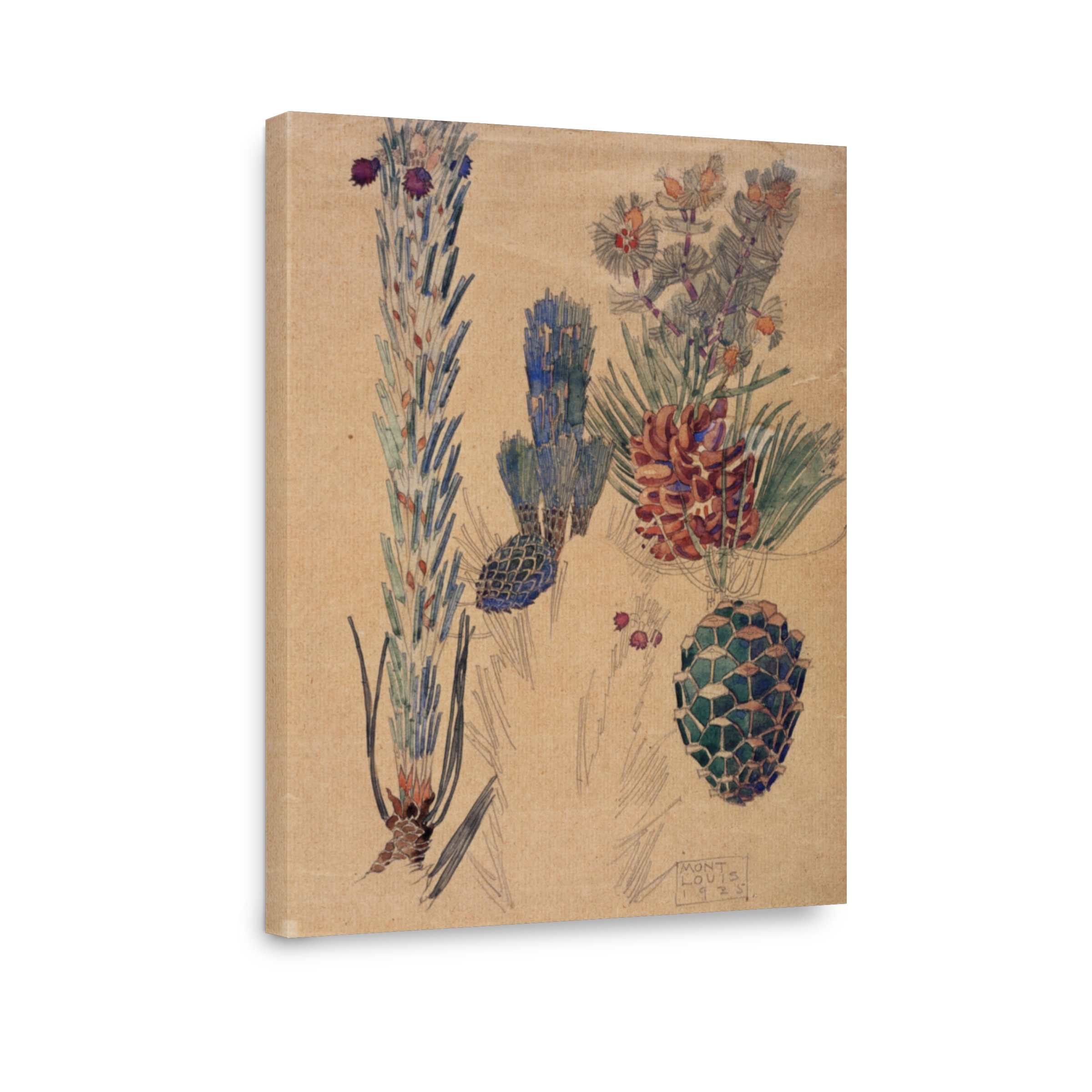 Mackintosh, Charles R (1868 1928)   Pine Cones, Mont Louis 1925