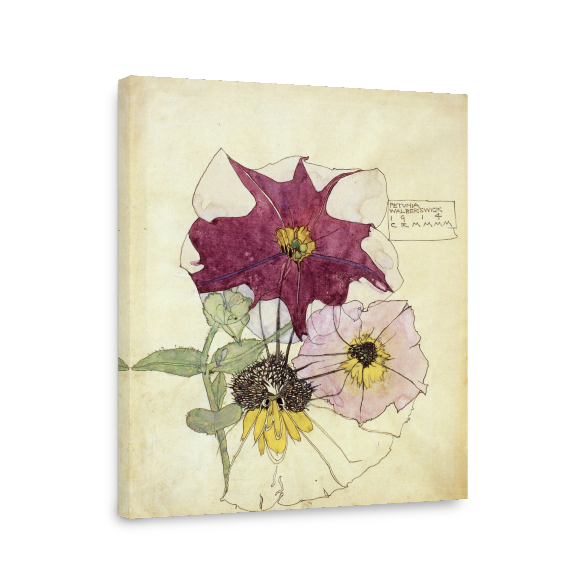 Mackintosh, Charles R (1868 1928)   Petunia, Walberswick 1914