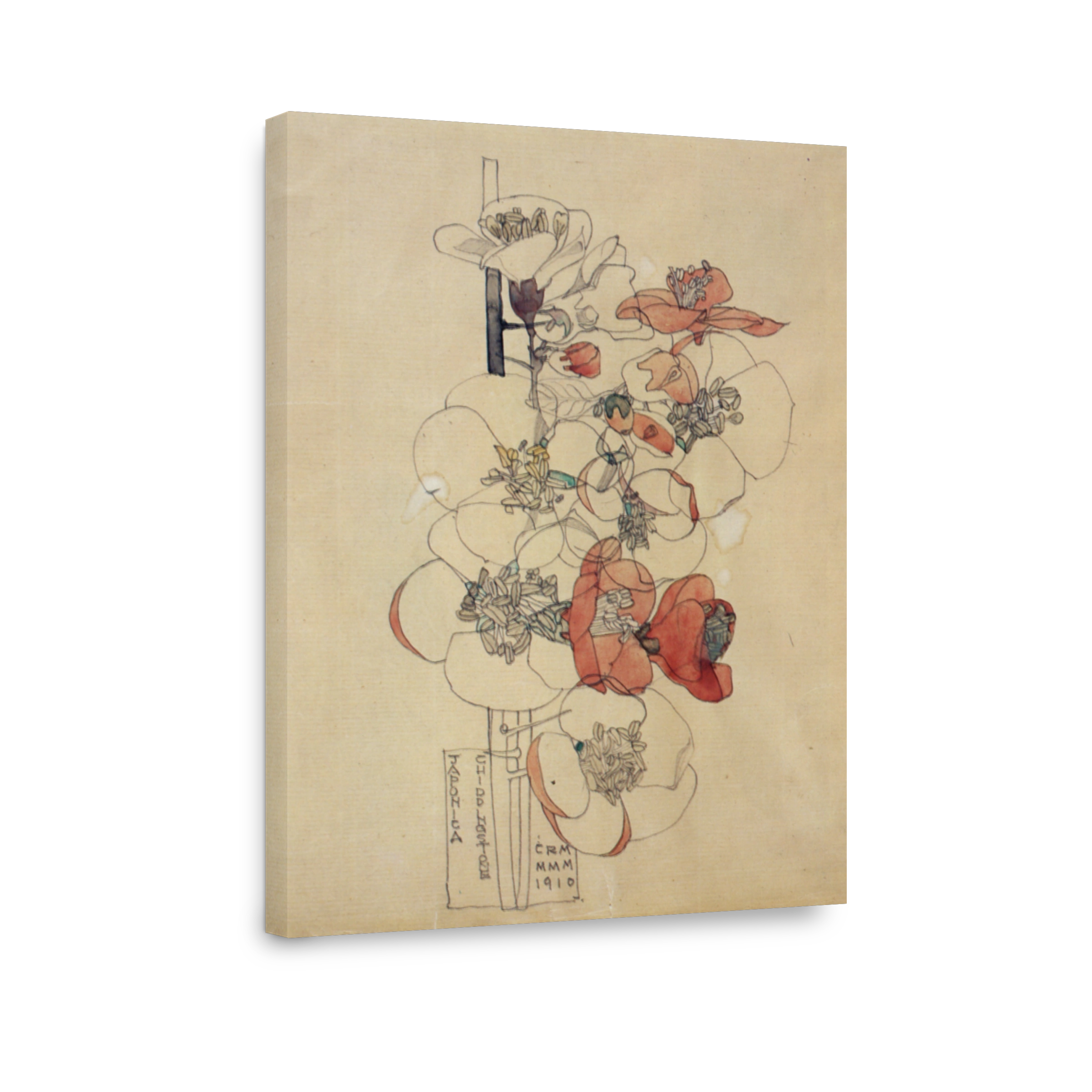 Mackintosh, Charles R (1868 1928)   Japonica, Chiddingstone 1910