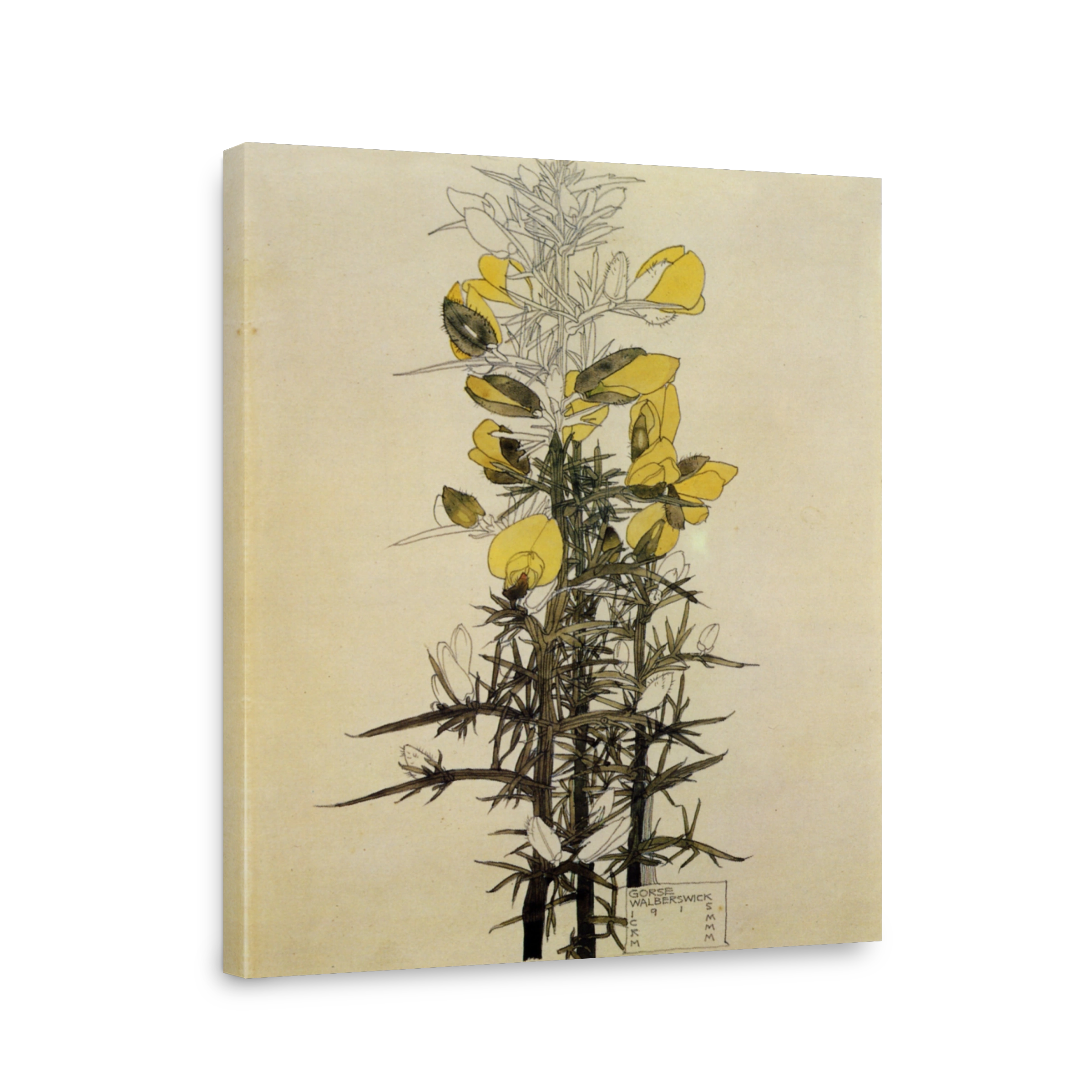 Mackintosh, Charles R (1868 1928)   Gorse, Walberswick 1915