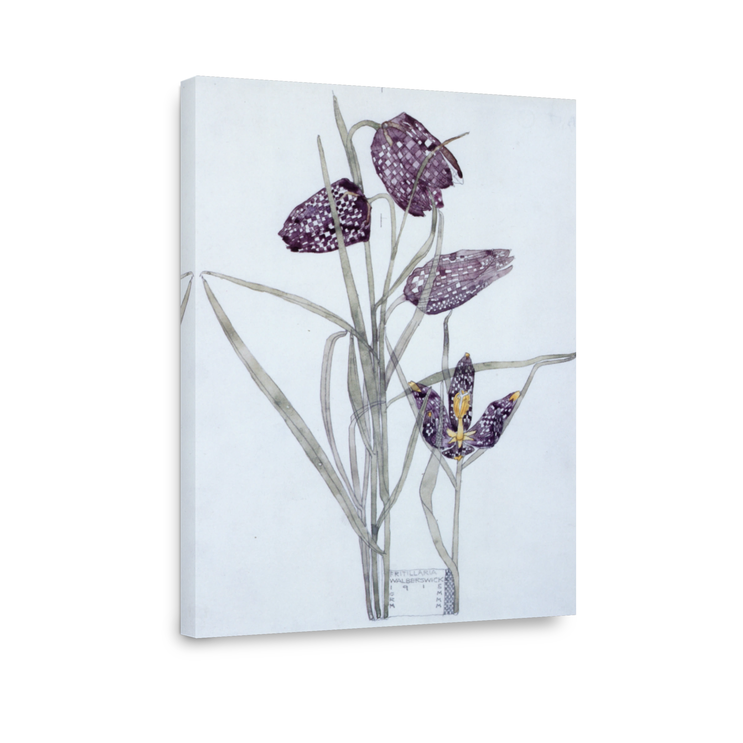 Mackintosh, Charles R (1868 1928)   Fritillaria, Walberswick 1915