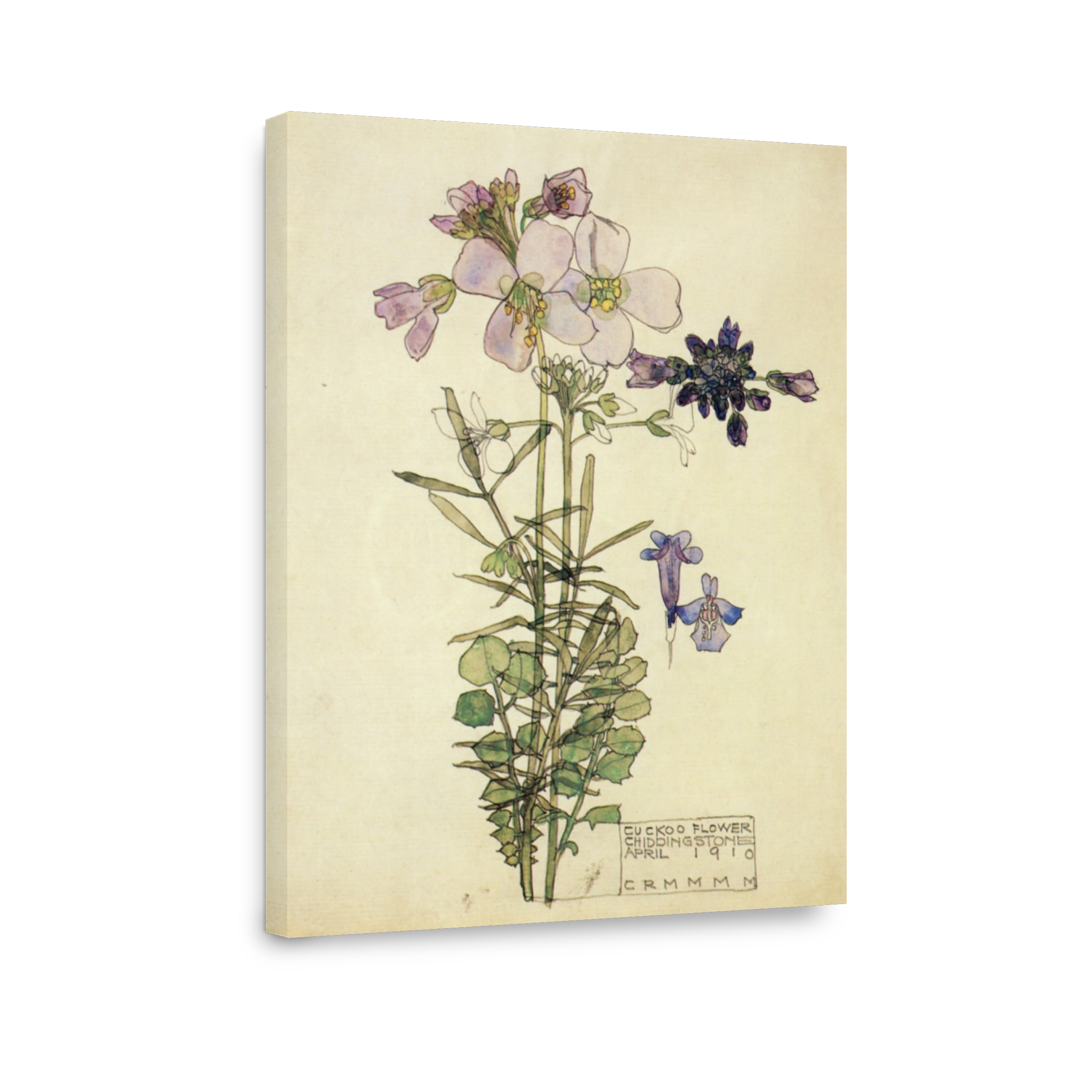 Mackintosh, Charles R (1868 1928)   Cuckoo Flower, Chiddingstone 1910
