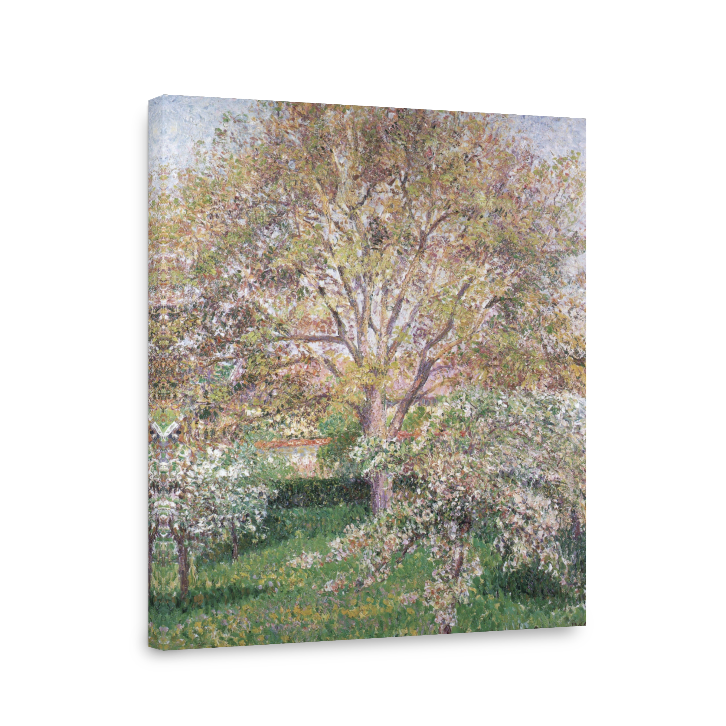 Pissarro, C. (1830 1903)   Walnut & Apple Trees In Bloom At Eragny 1895