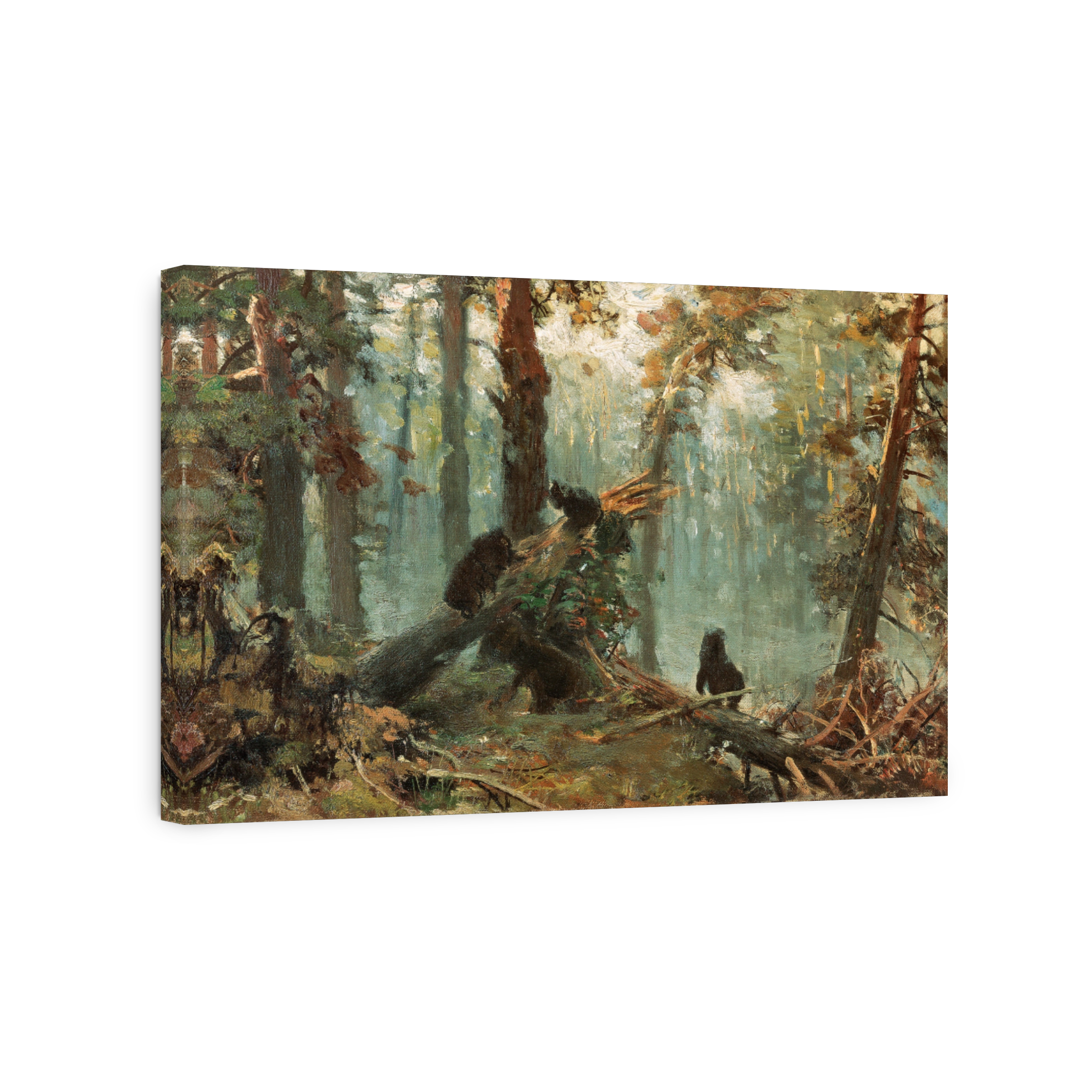 A Morning In A Pine Forest
