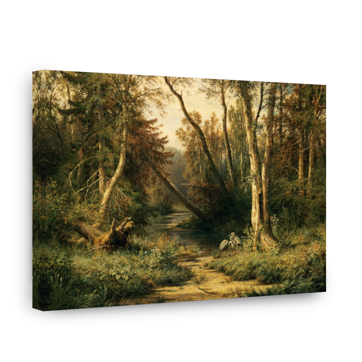 Forest Landscape With Herons