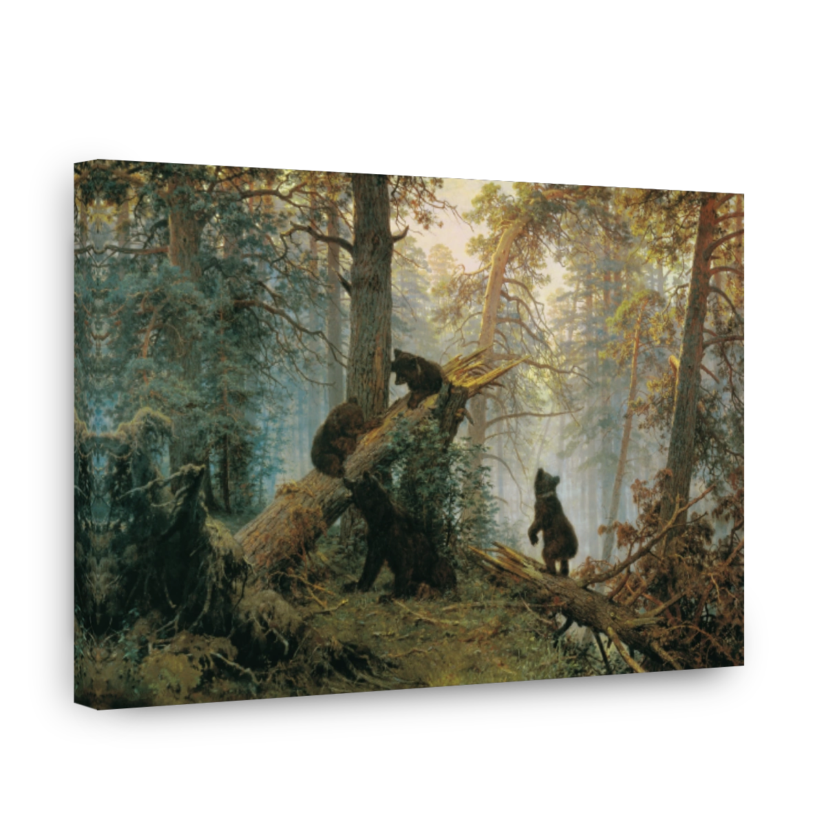 A Morning In A Pine Forest_1889