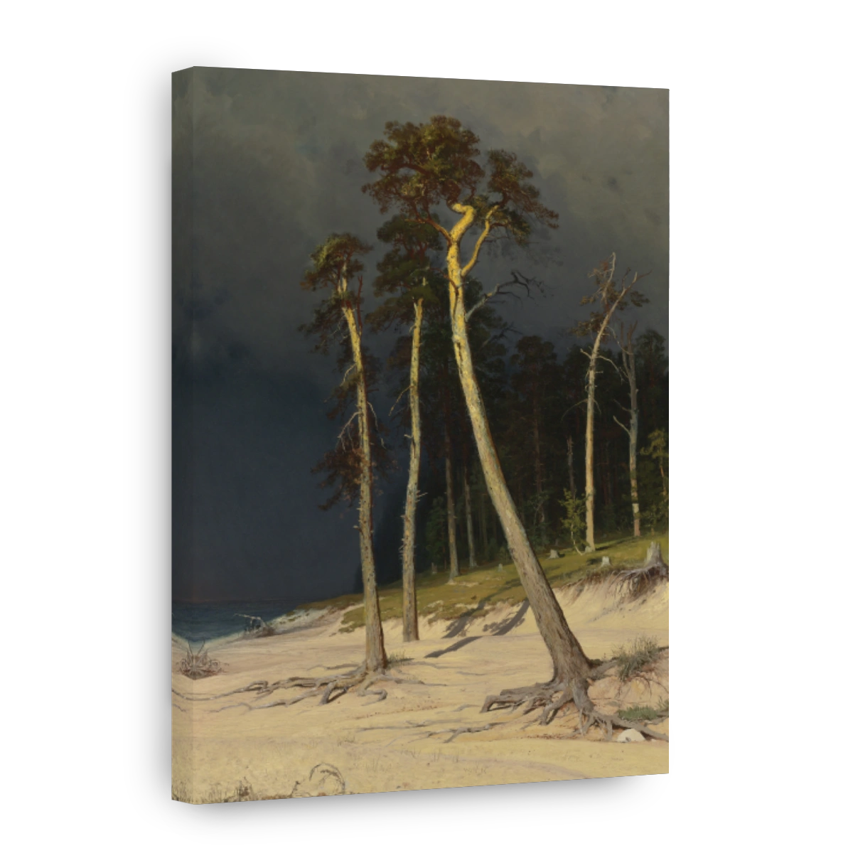 Sandy_coastline