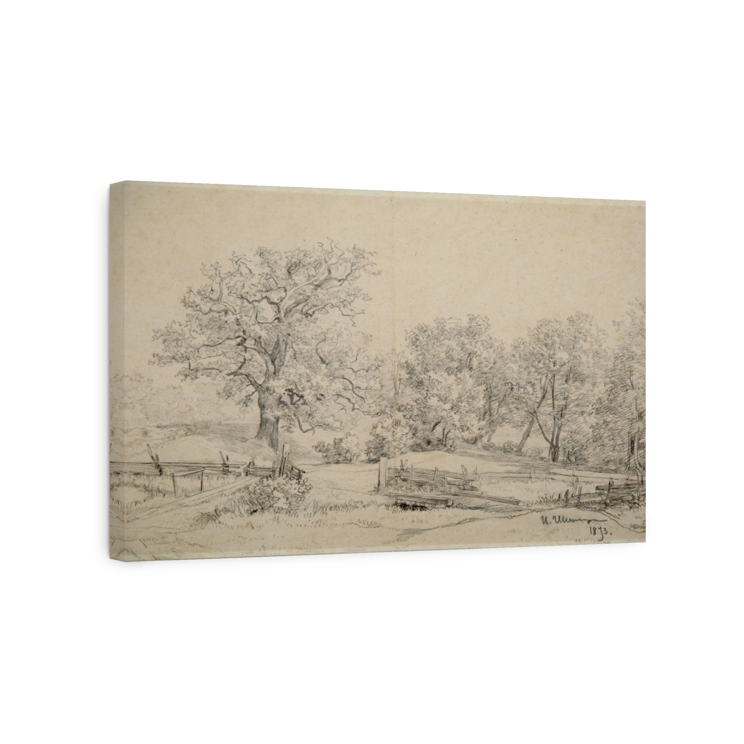 Landscape_study