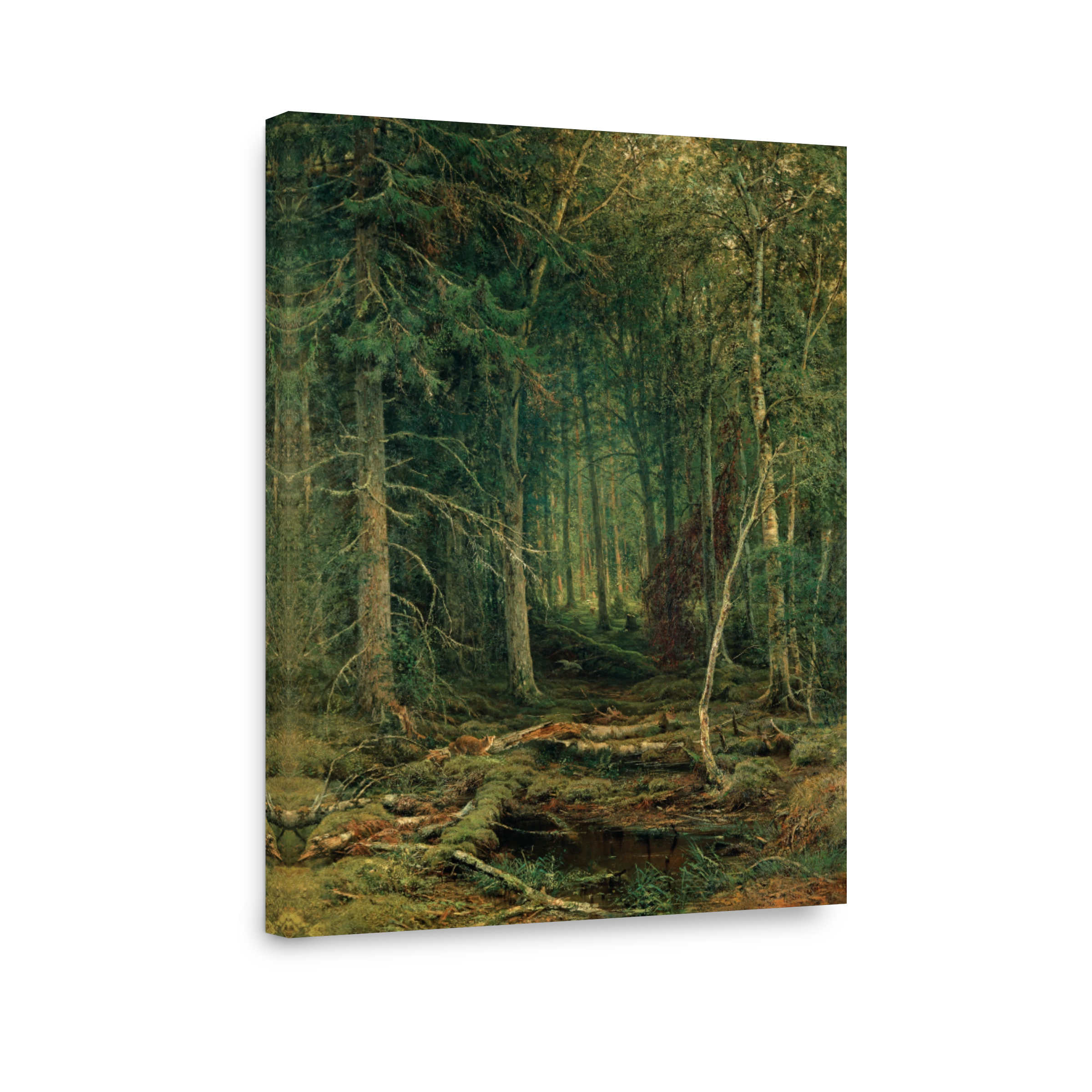 Лесная глушь 1872