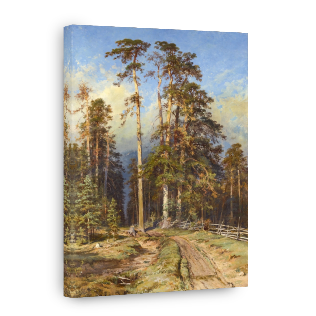 Pine_forest
