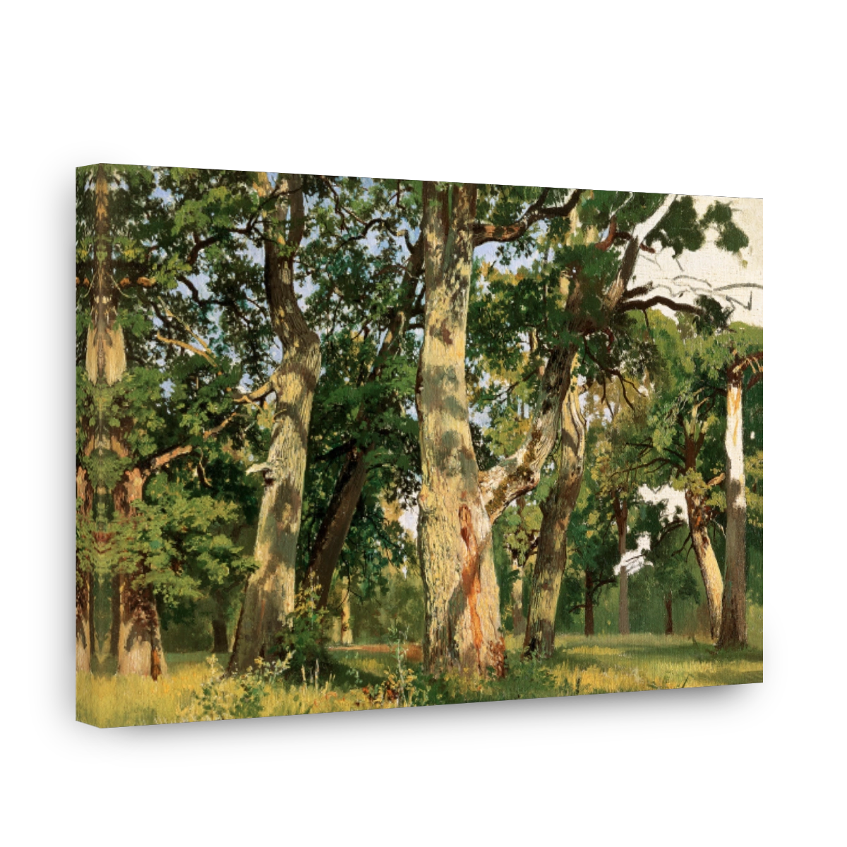 Oaks. Evening_1887